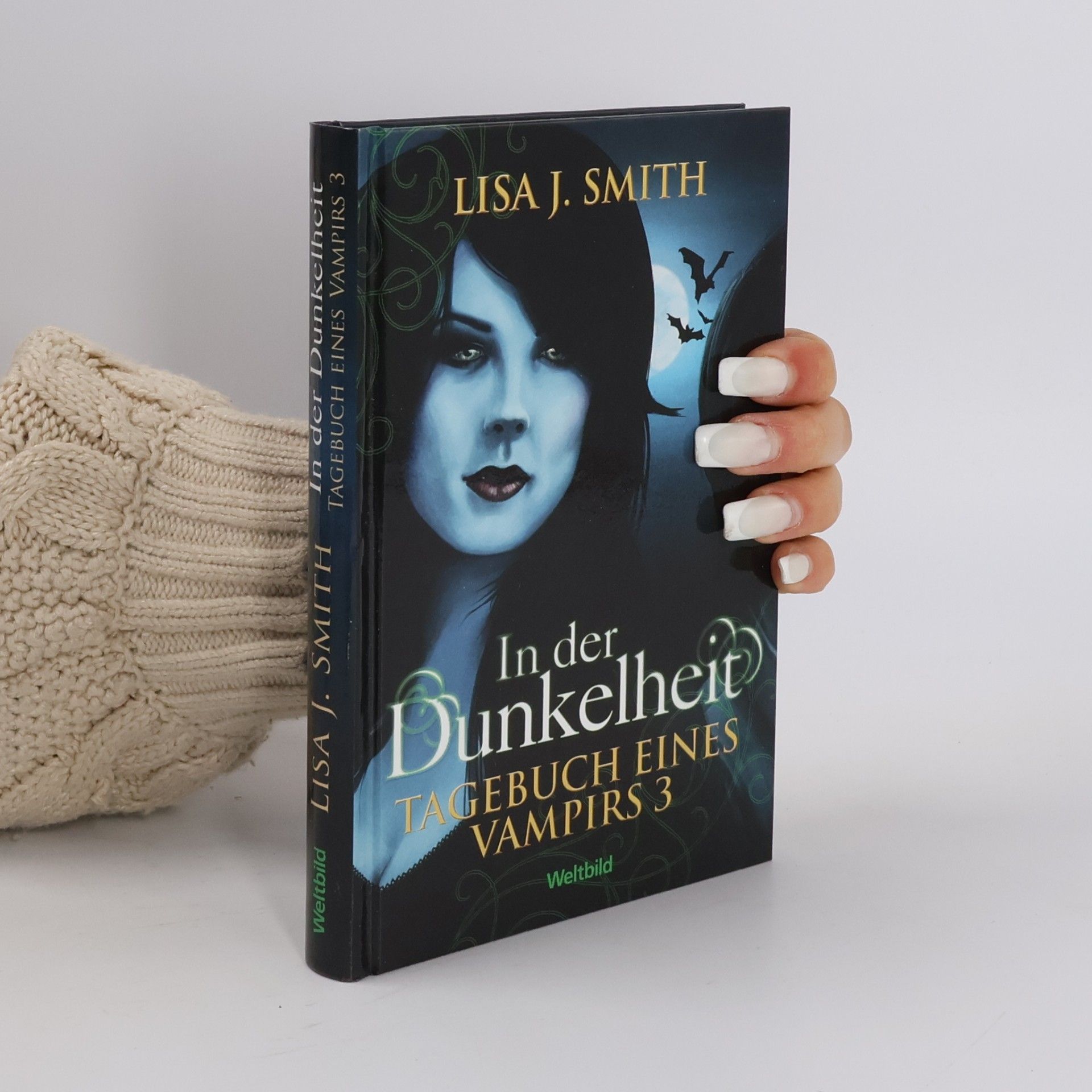 L. J. Smithová  In der Dunkelheit