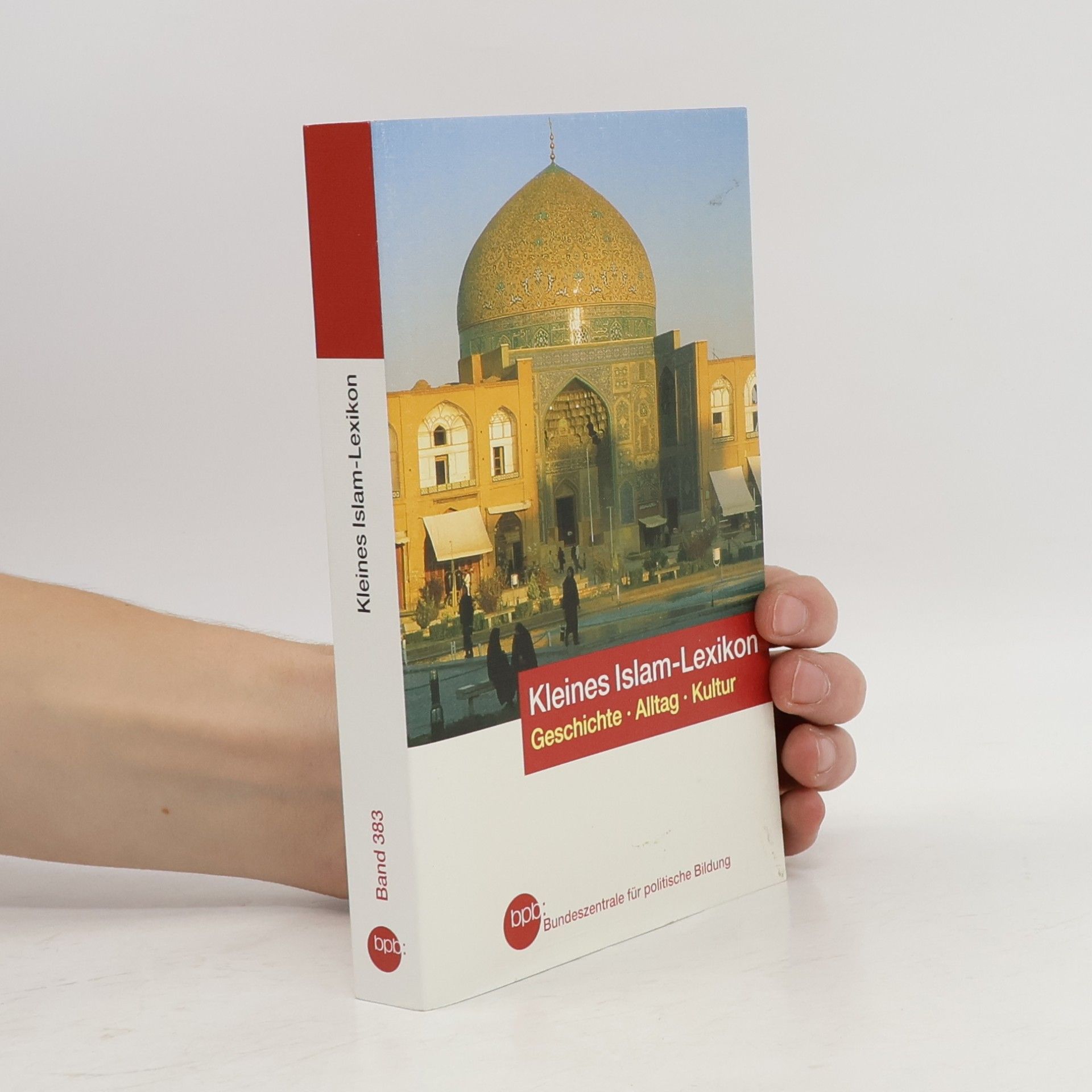 Ralf Elger Kleines Islam-Lexikon
