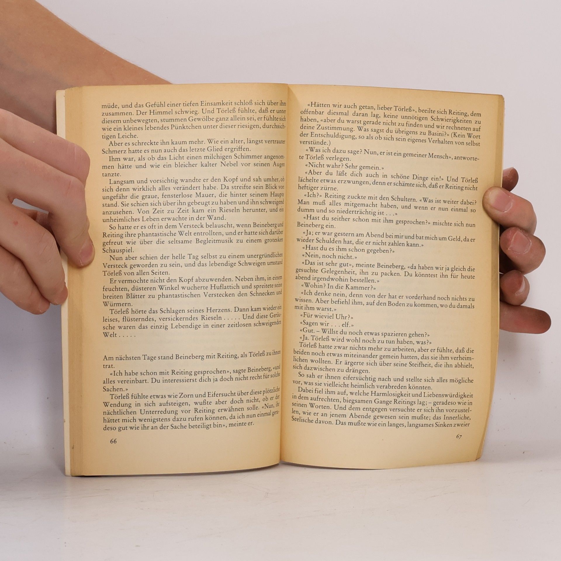 Robert Musil Die Verwirrungen des Zöglings Törleß
