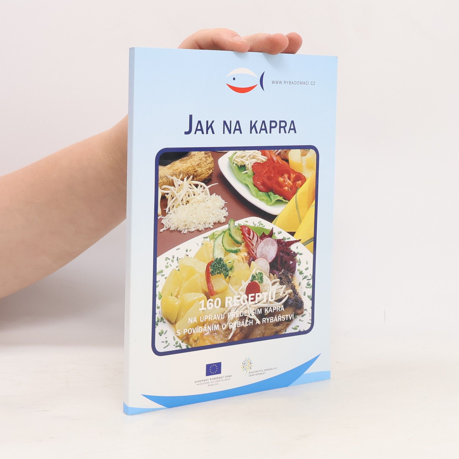 Kolektív autorov Jak na kapra