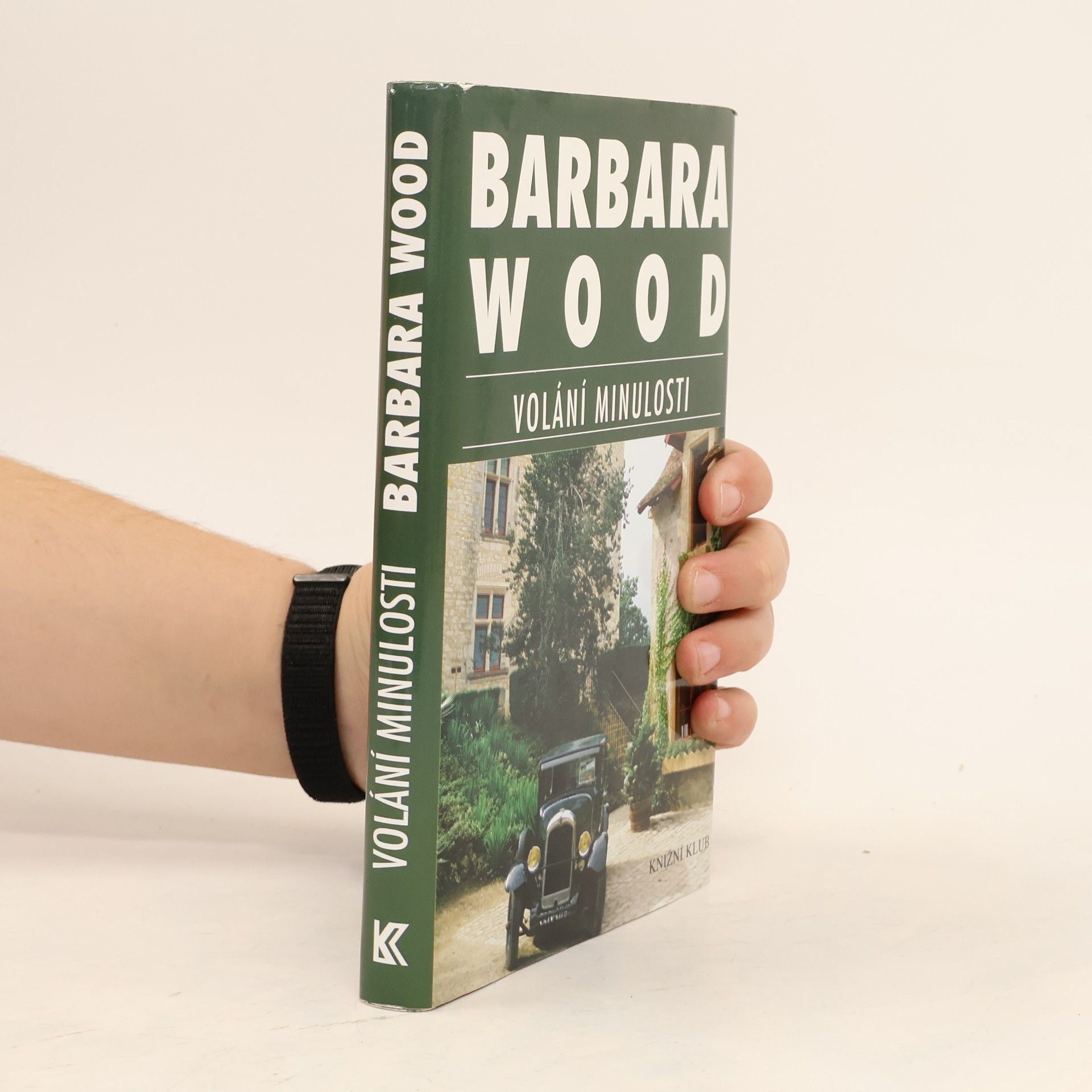 Barbara Wood Volání minulosti