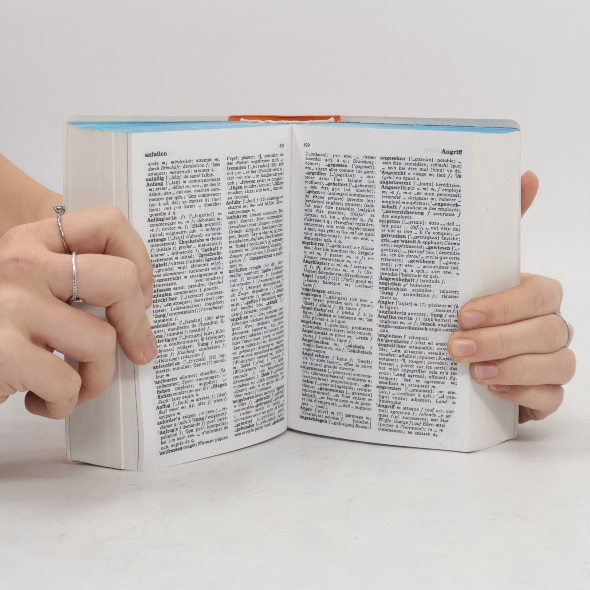 Autorenkollektiv Das grosse Wörterbuch Französisch-Deutsch, Deutsch-Französisch