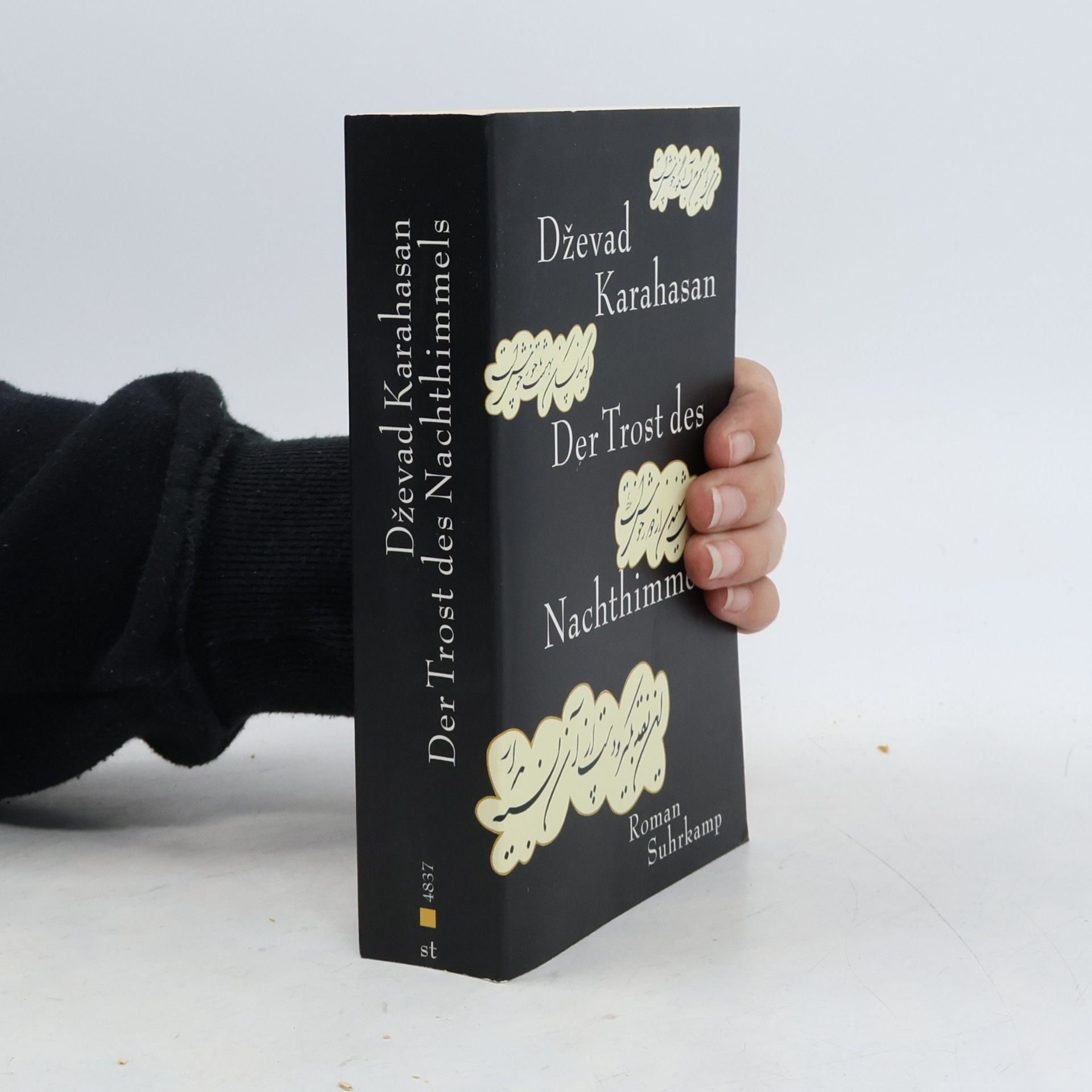 Dževad Karahasan Der Trost des Nachthimmels