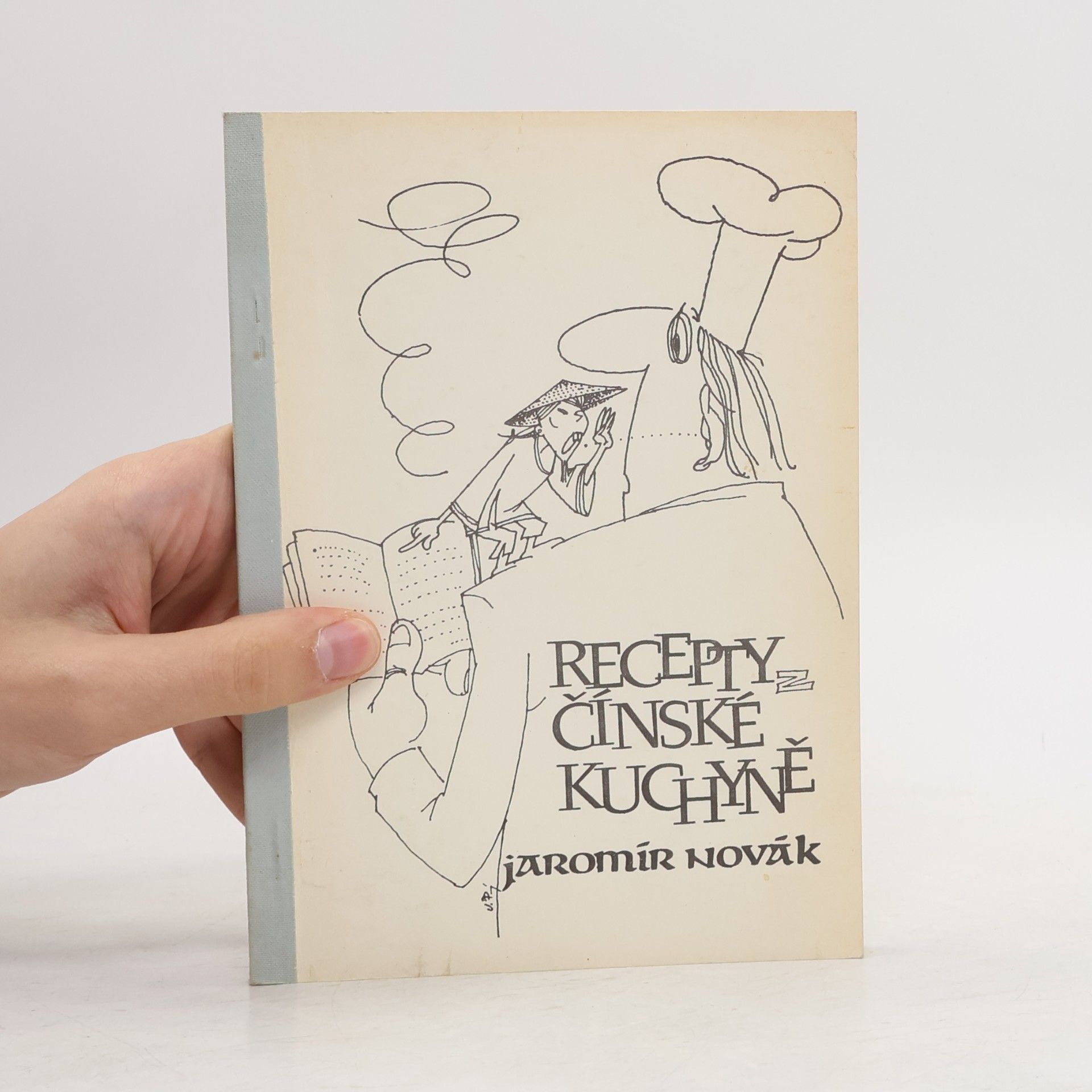 Jaromír Novák Recepty čínské kuchyně