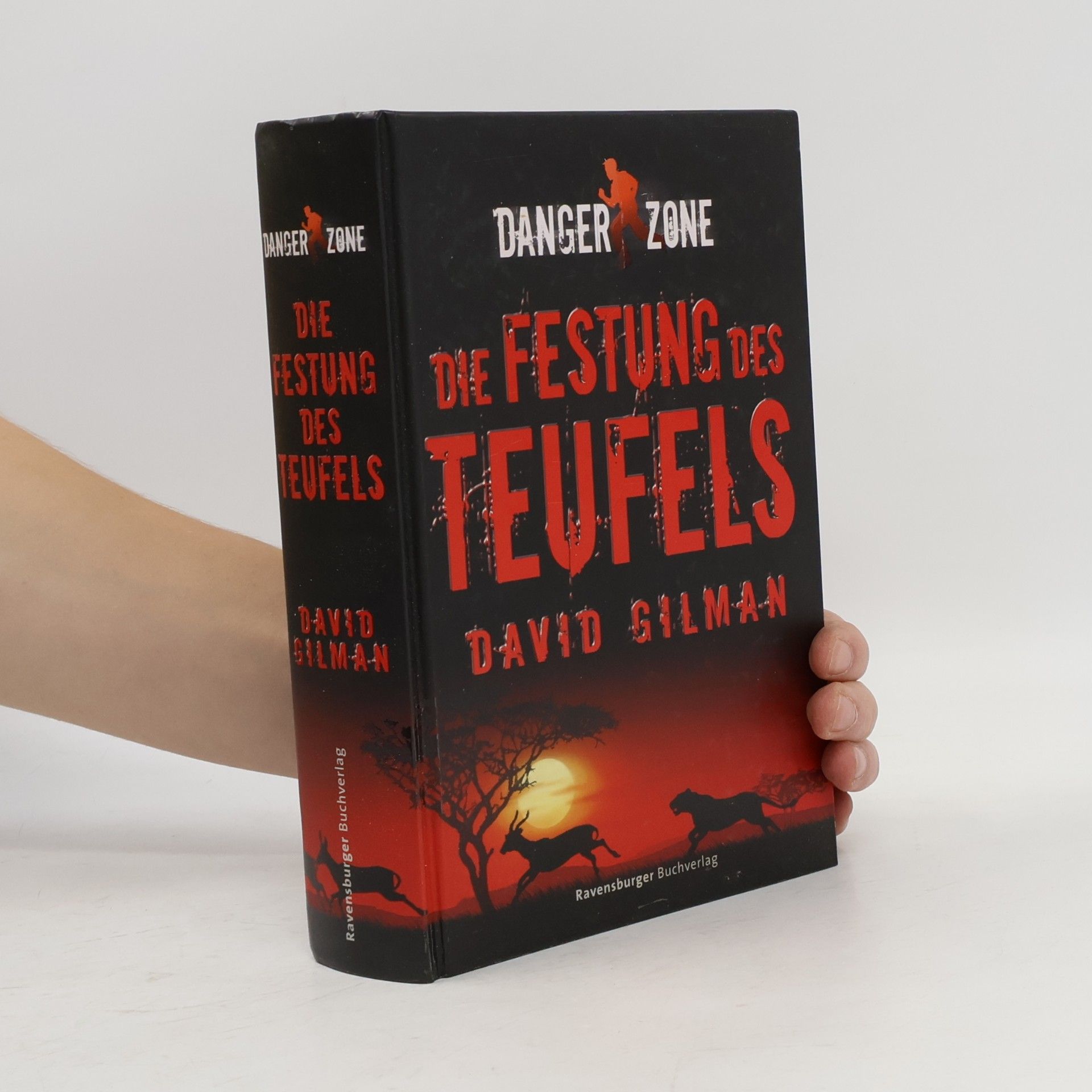 David Gilman Die Festung des Teufels