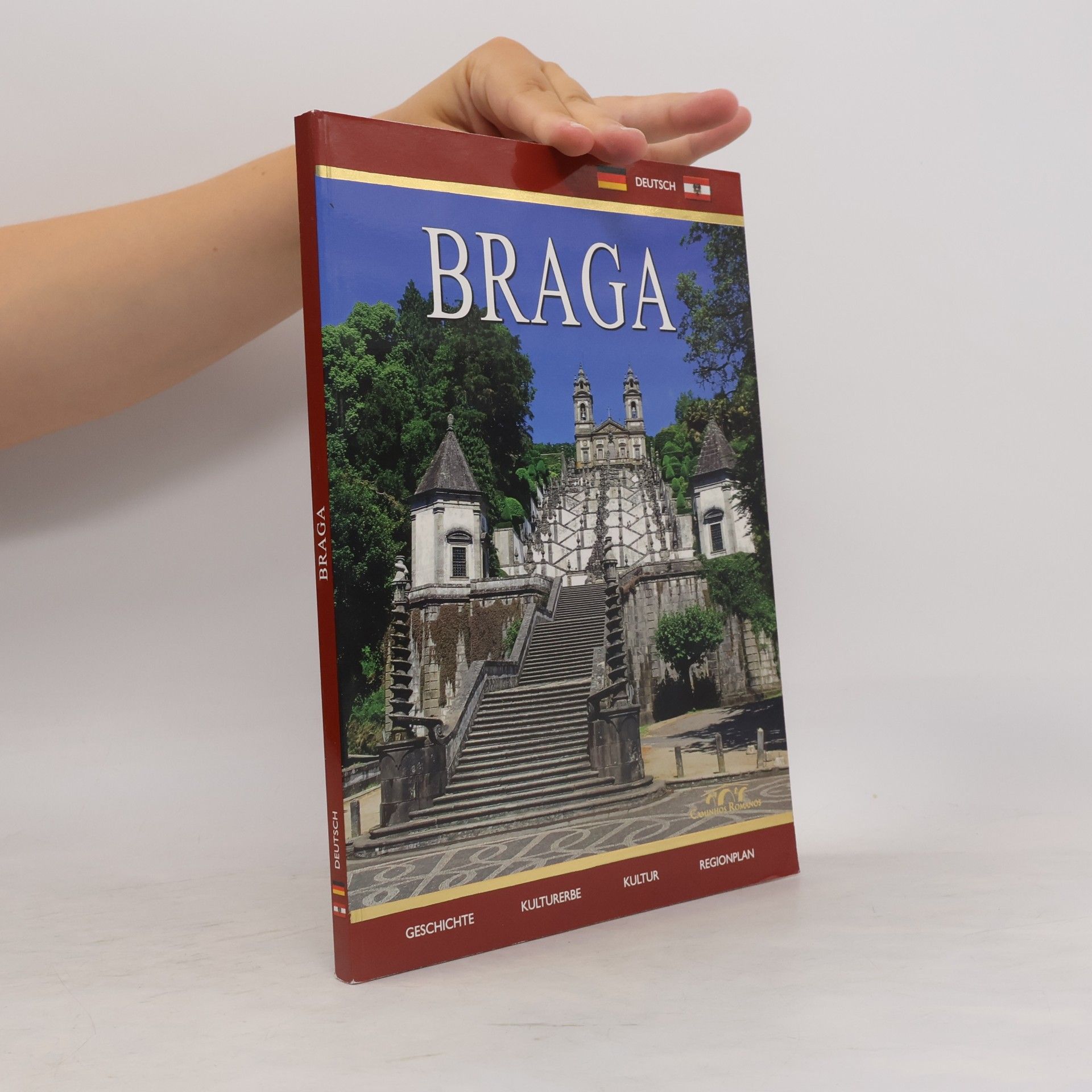 Kolektiv autorů Braga