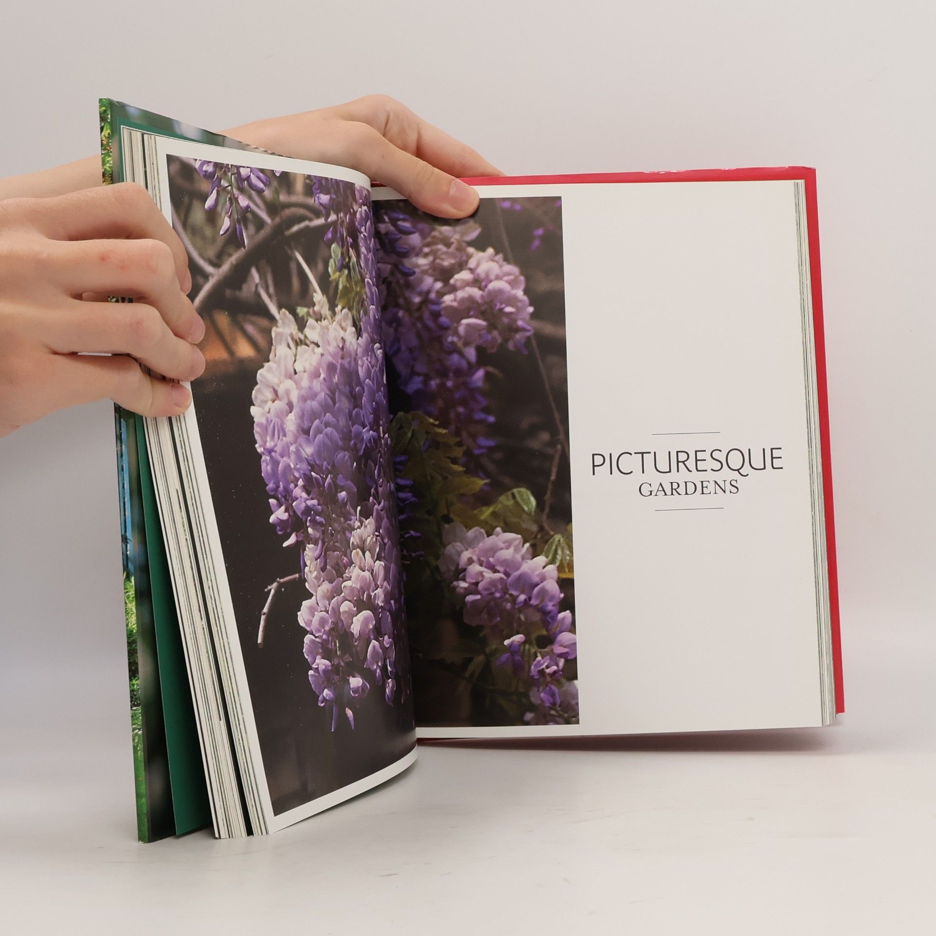 Alexandra d' Arnoux Private Gardens of Paris