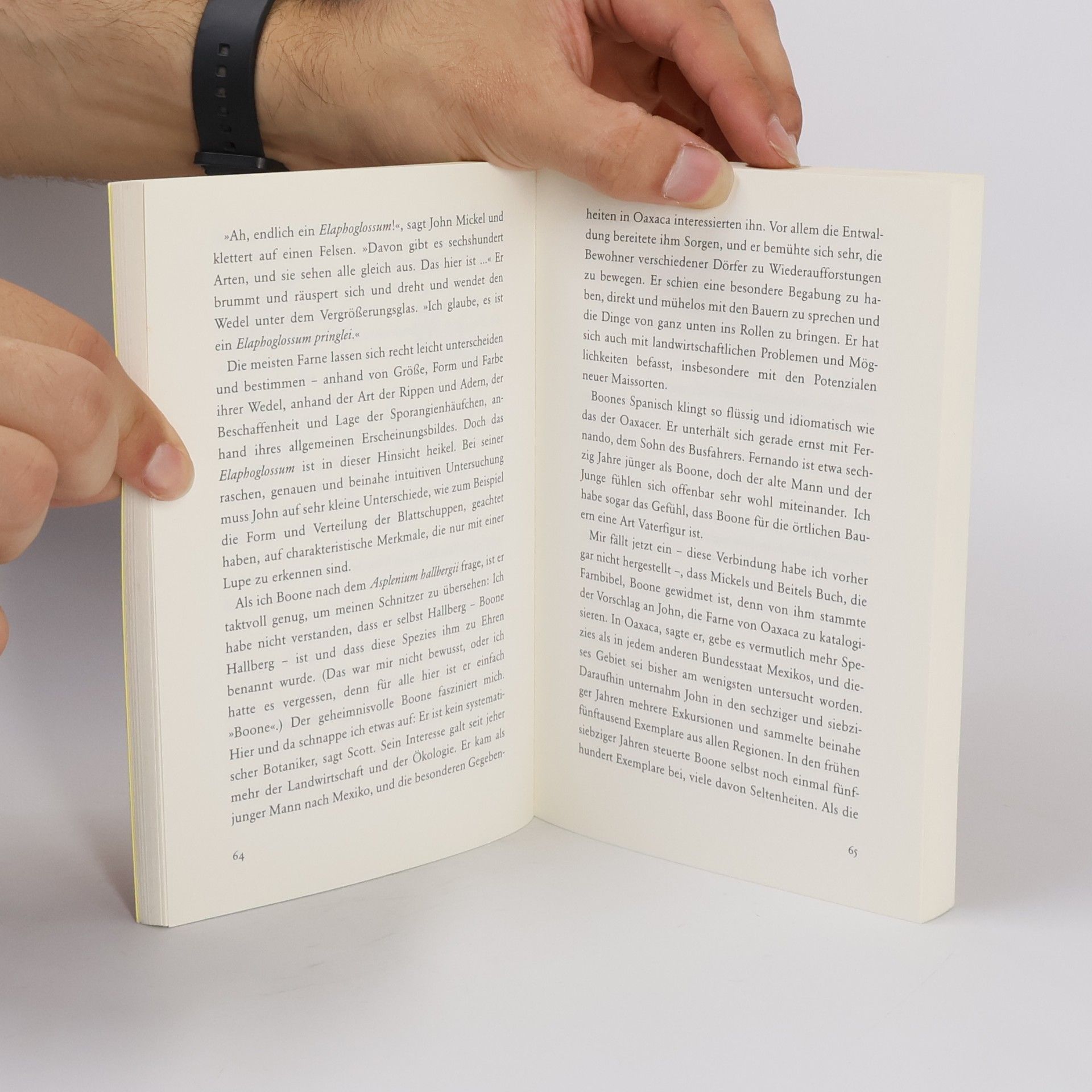 Oliver Sacks Die feine New Yorker Farngesellschaft