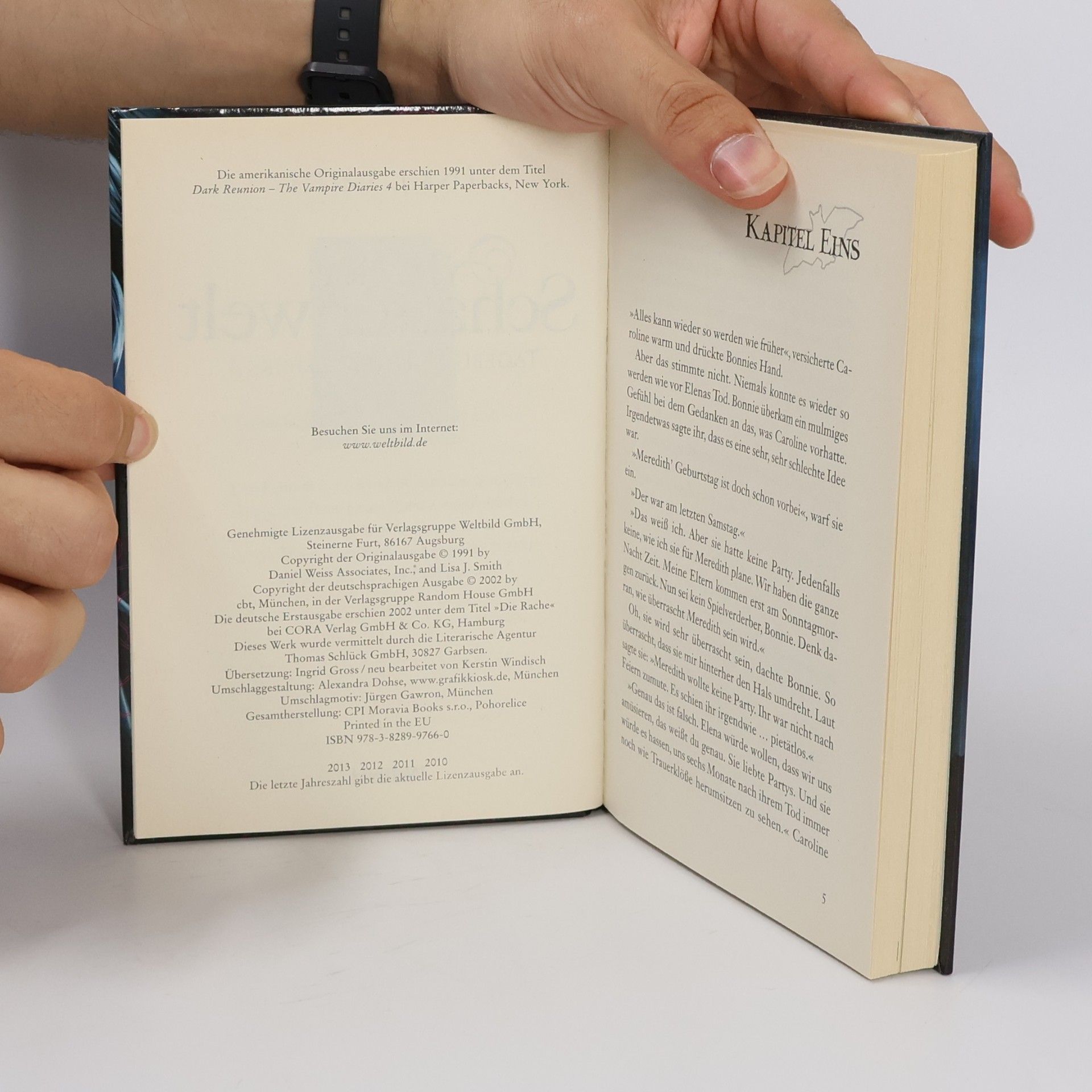 L. J. Smithová Tagebuch eines Vampirs 4. In der Schattenwelt