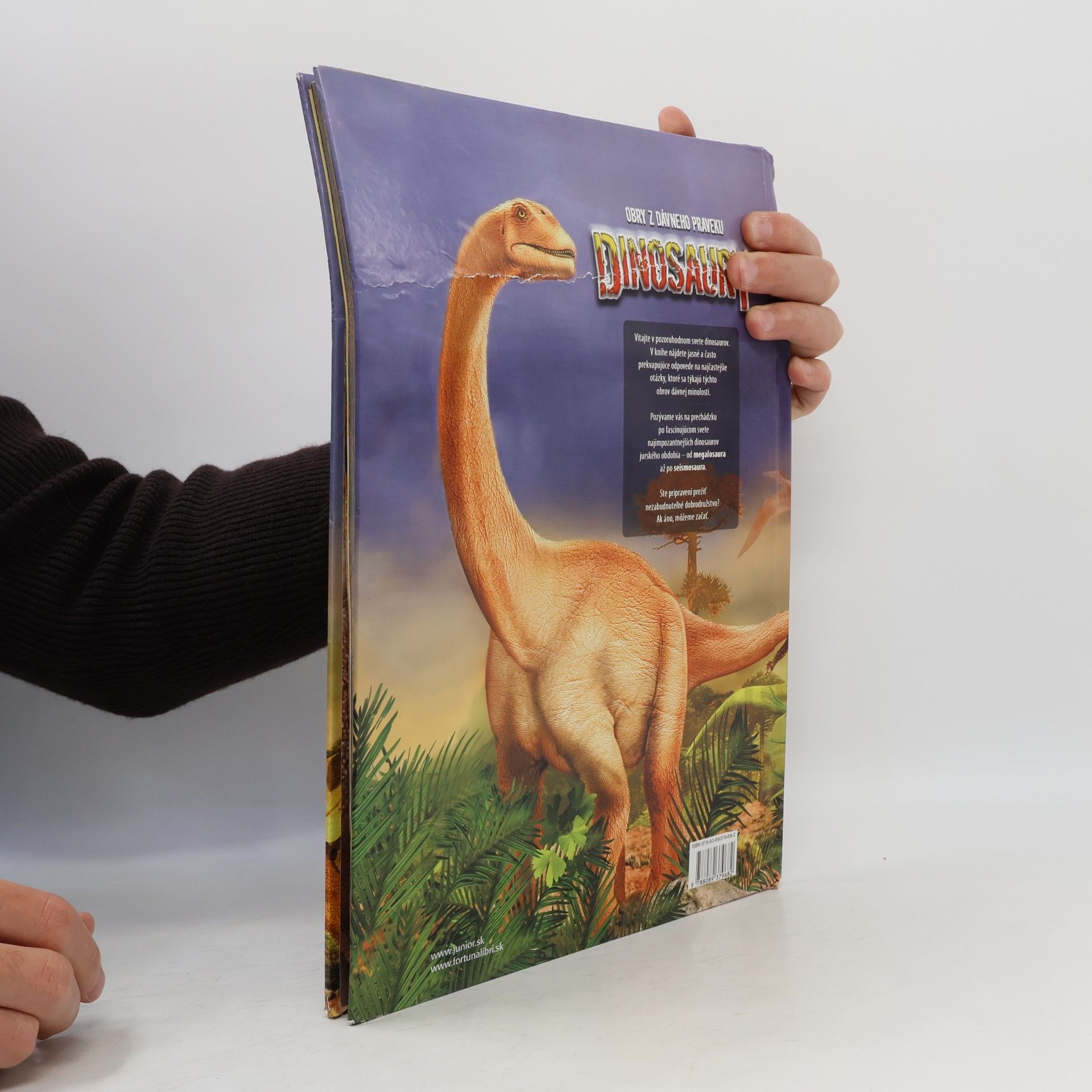 Kolektiv autorů Dinosaury - obry z dávneho praveku