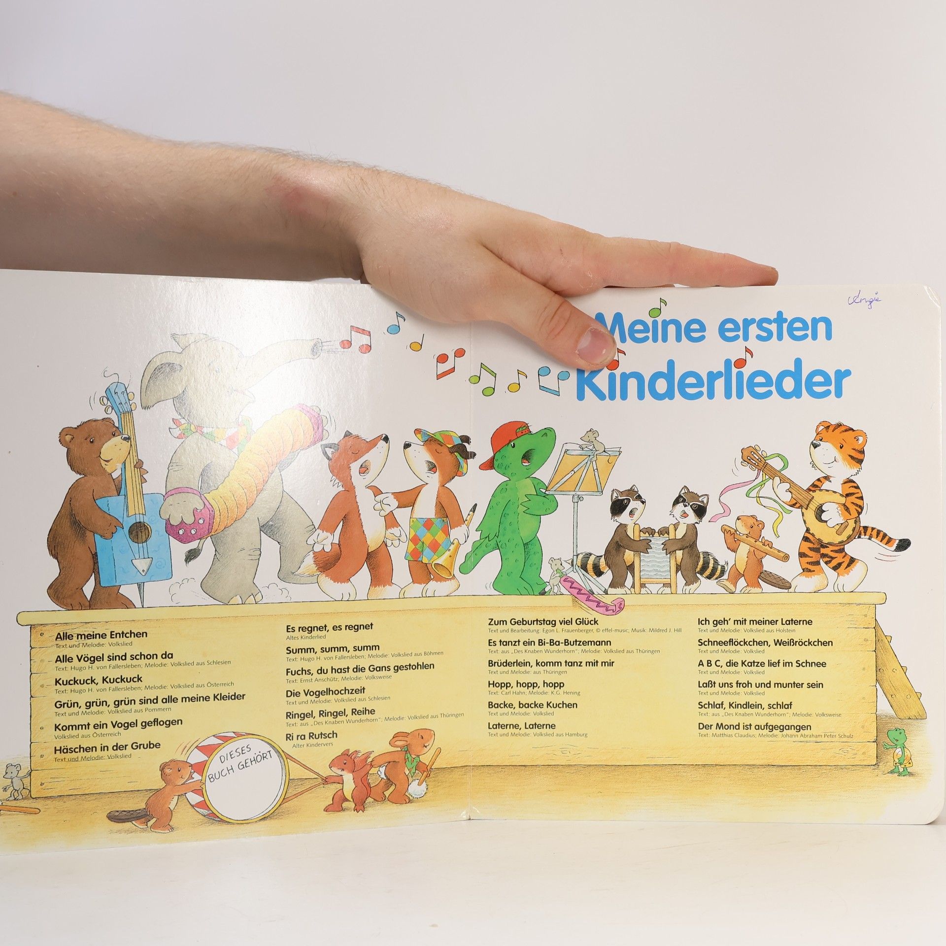 Autorenkollektiv Meine ersten Kinderlieder
