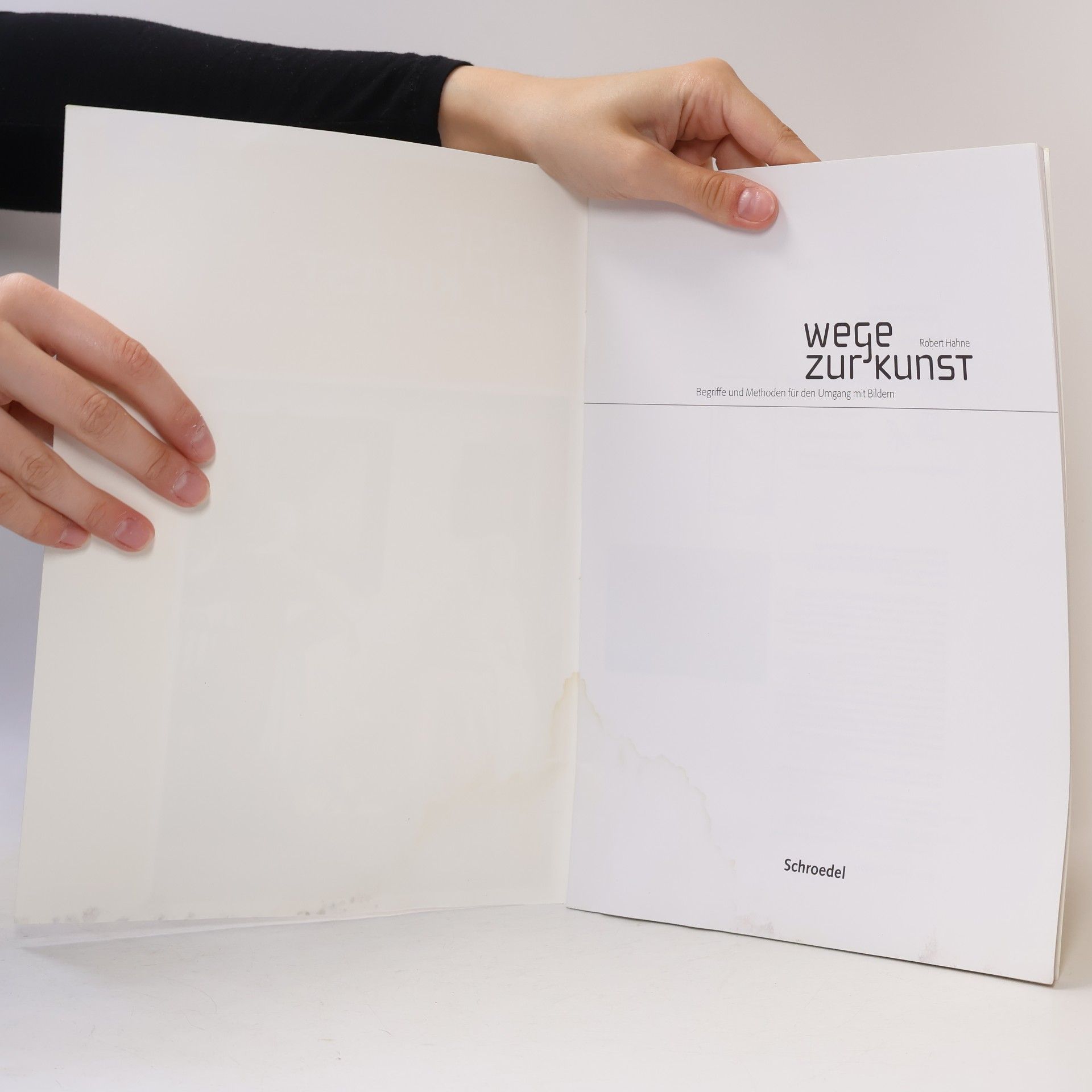 Robert Hahne Wege zur Kunst