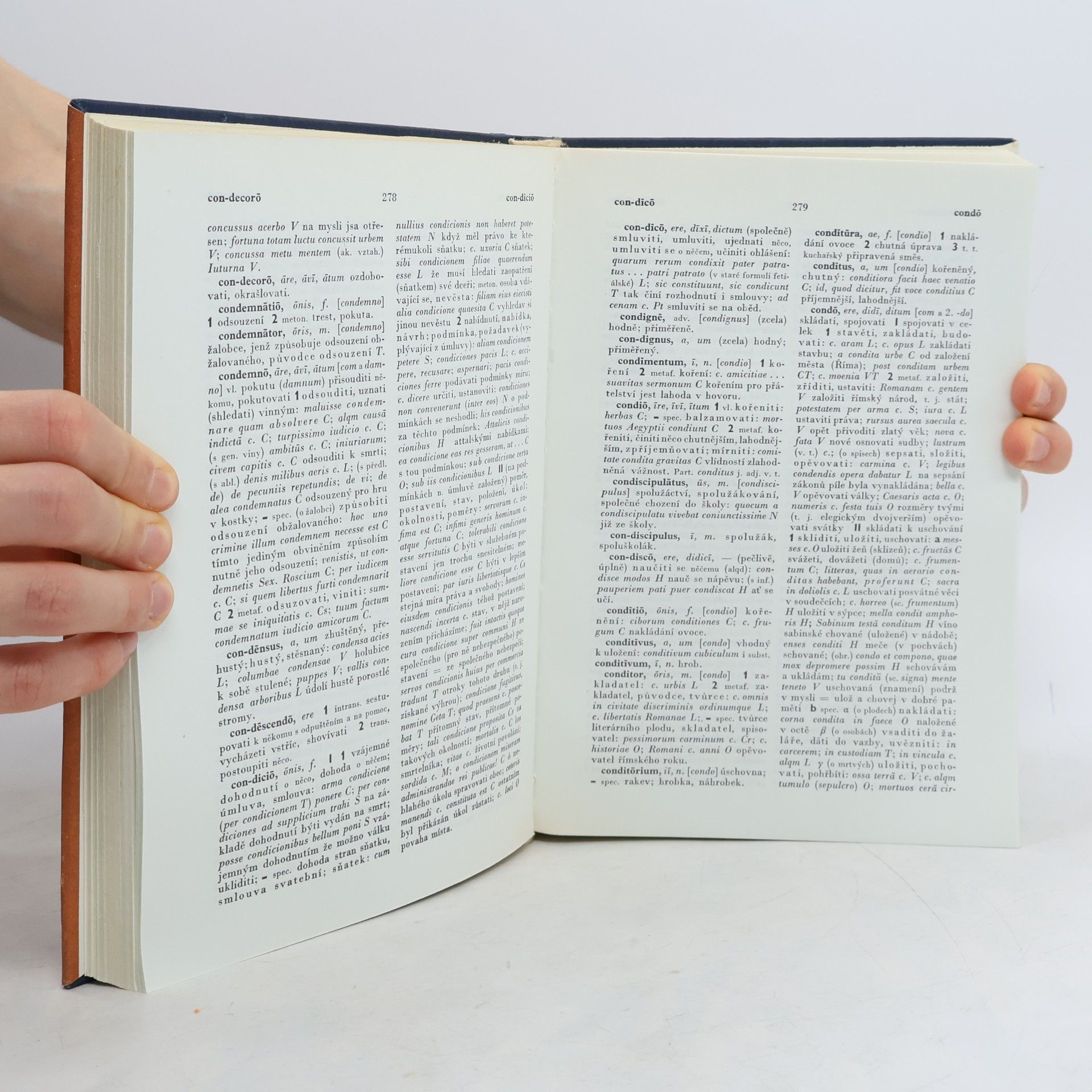 Autorenkollektiv Latinsko-český slovník A-K