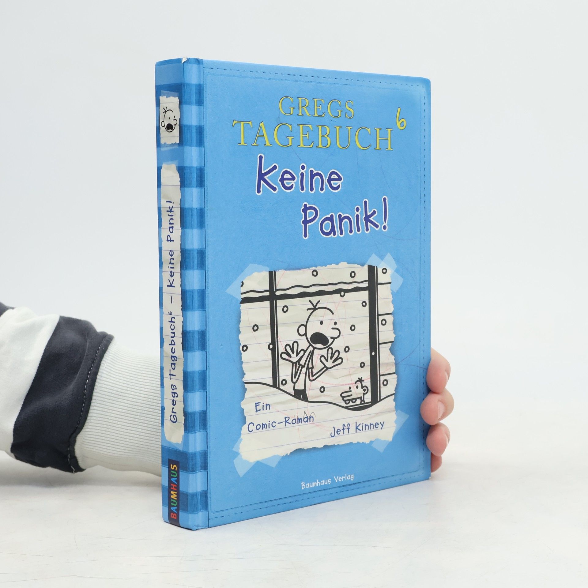 Gregs Tagebuch 6. Keine Panik!