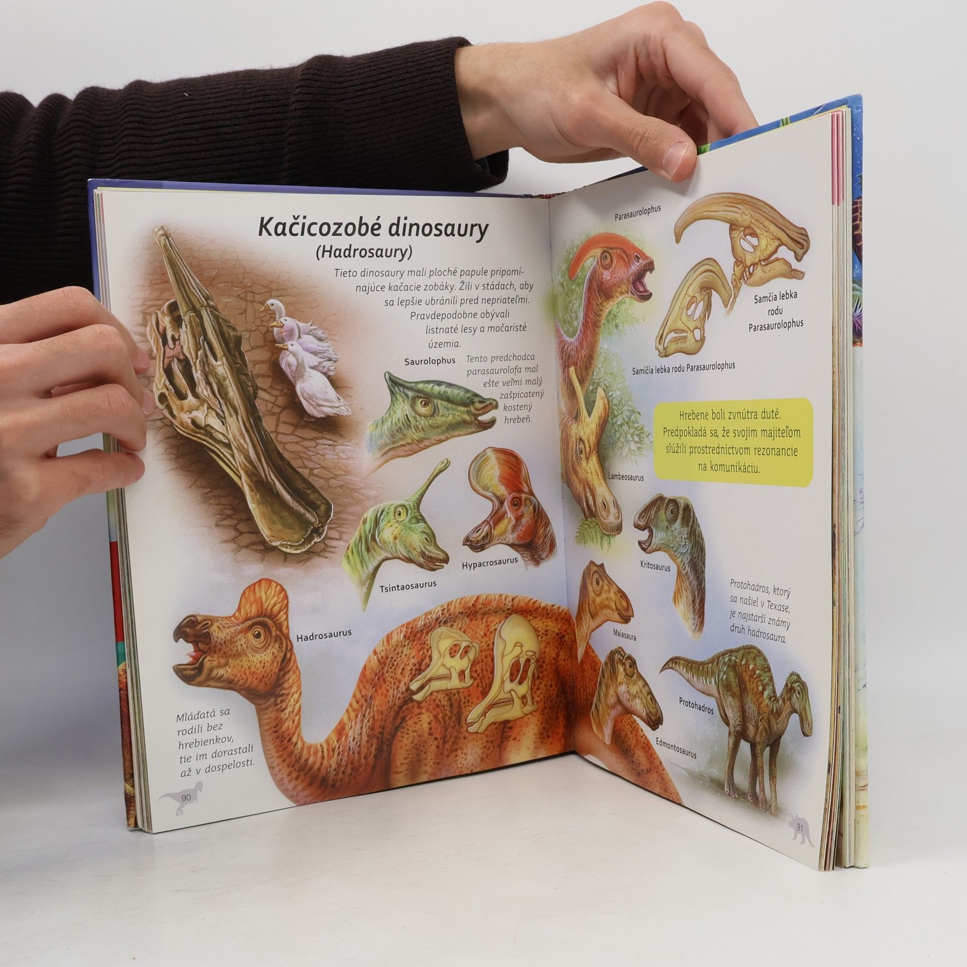 Kolektiv autorů Encyklopédia dinosaurov