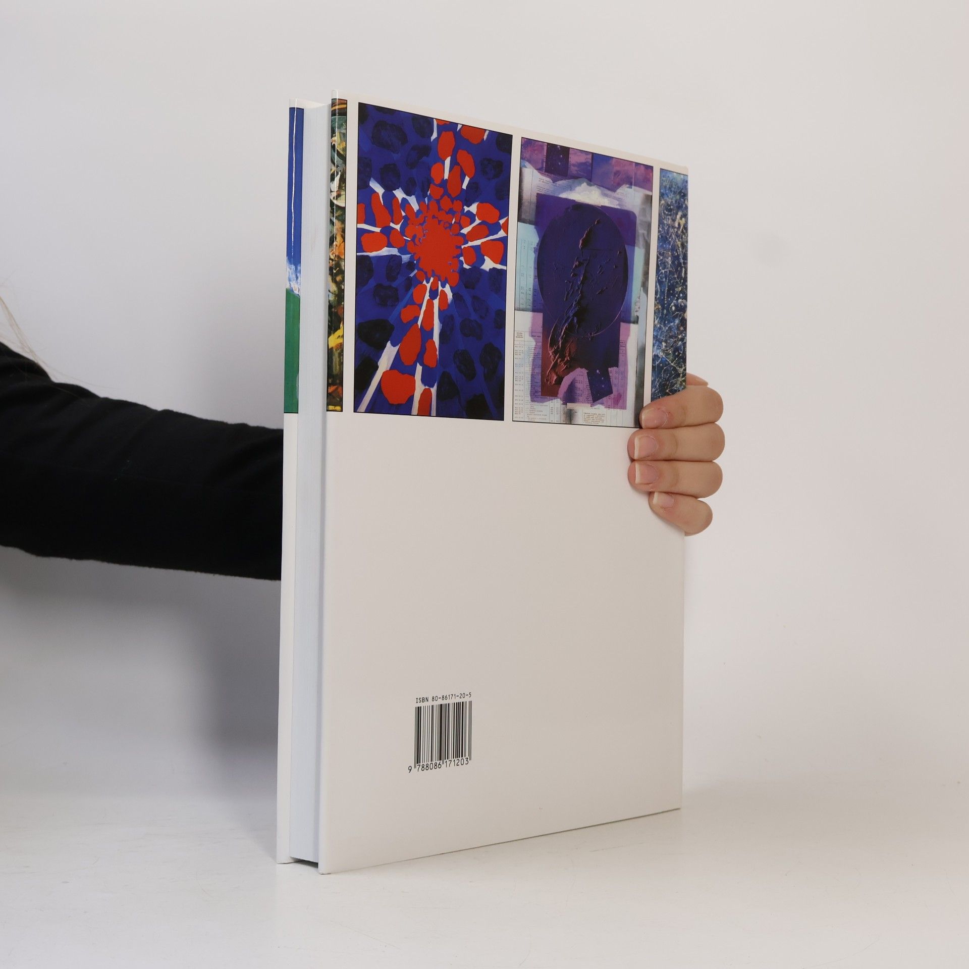 Autorenkollektiv Slovník českých a slovenských výtvarných umělců 1950 - 2005 Sh-Sr