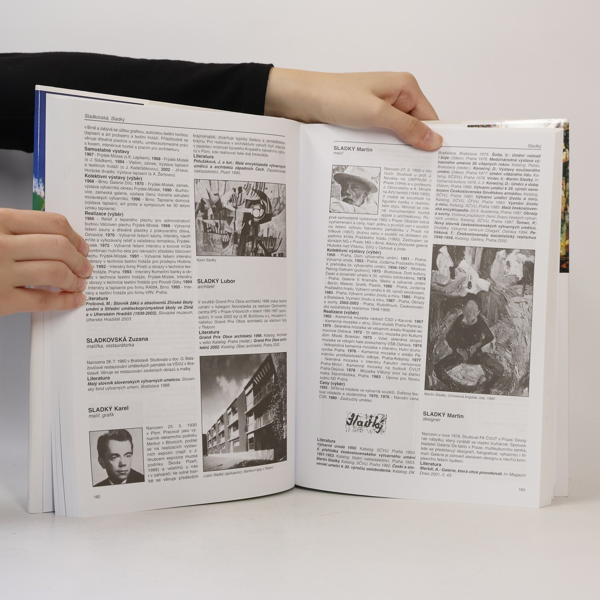 Autorenkollektiv Slovník českých a slovenských výtvarných umělců 1950 - 2005 Sh-Sr