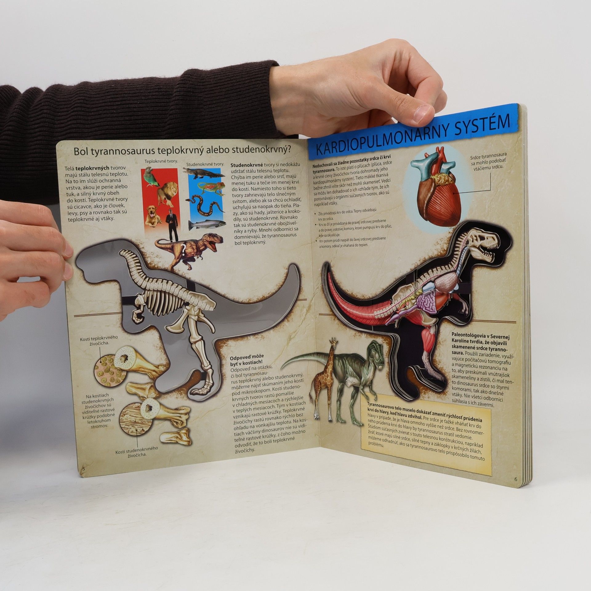 Dennis Schatz Pozrite sa do útrob dinosaura Tyrannosaura