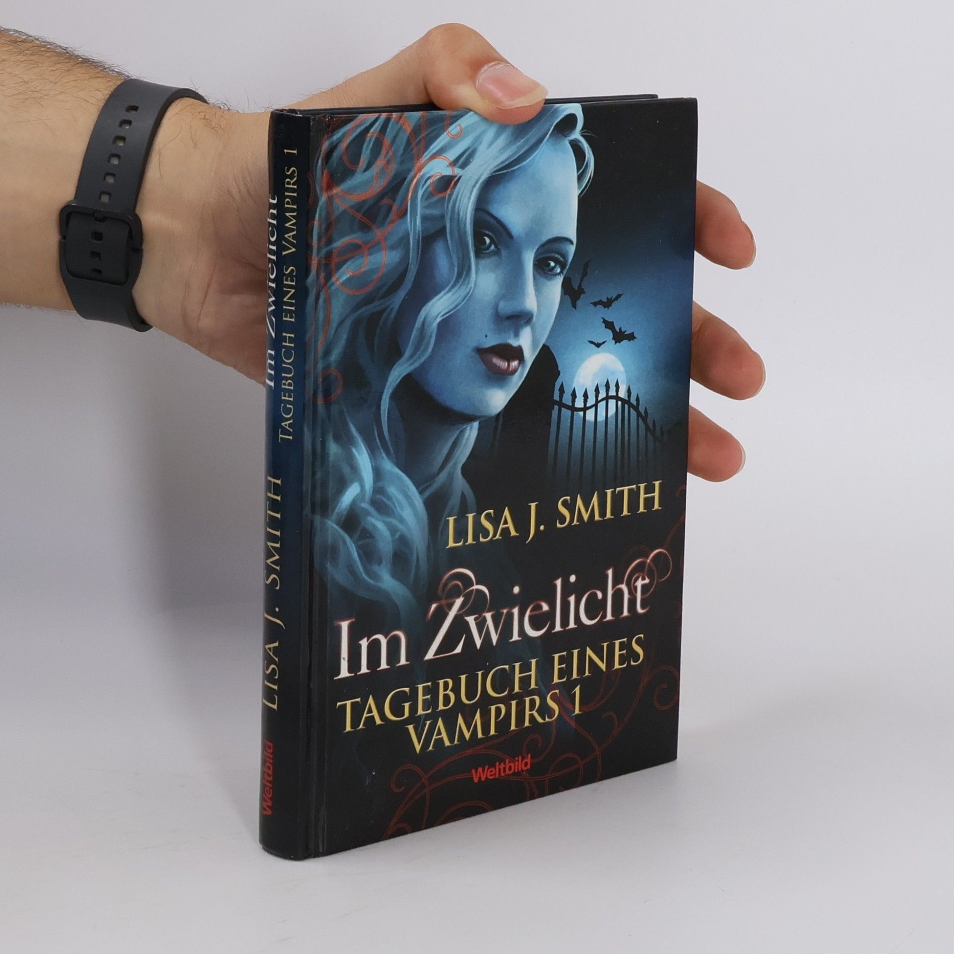 L. J. Smithová  Tagebuch eines Vampirs 1. Im Zwielicht