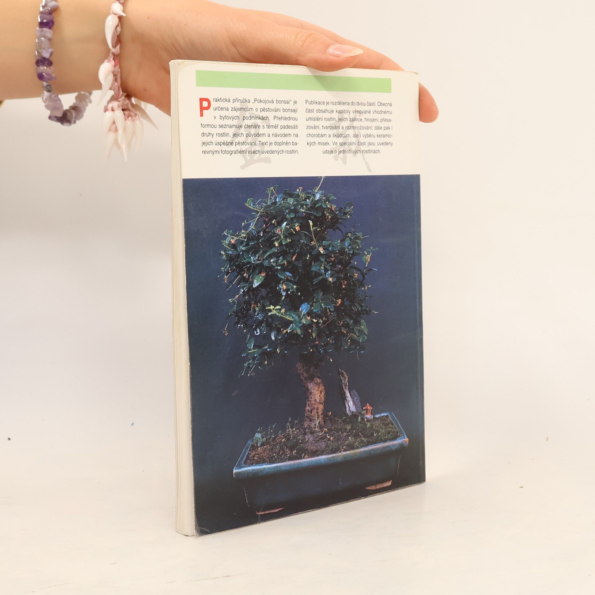 Jindřich Votýpka Pokojová bonsai