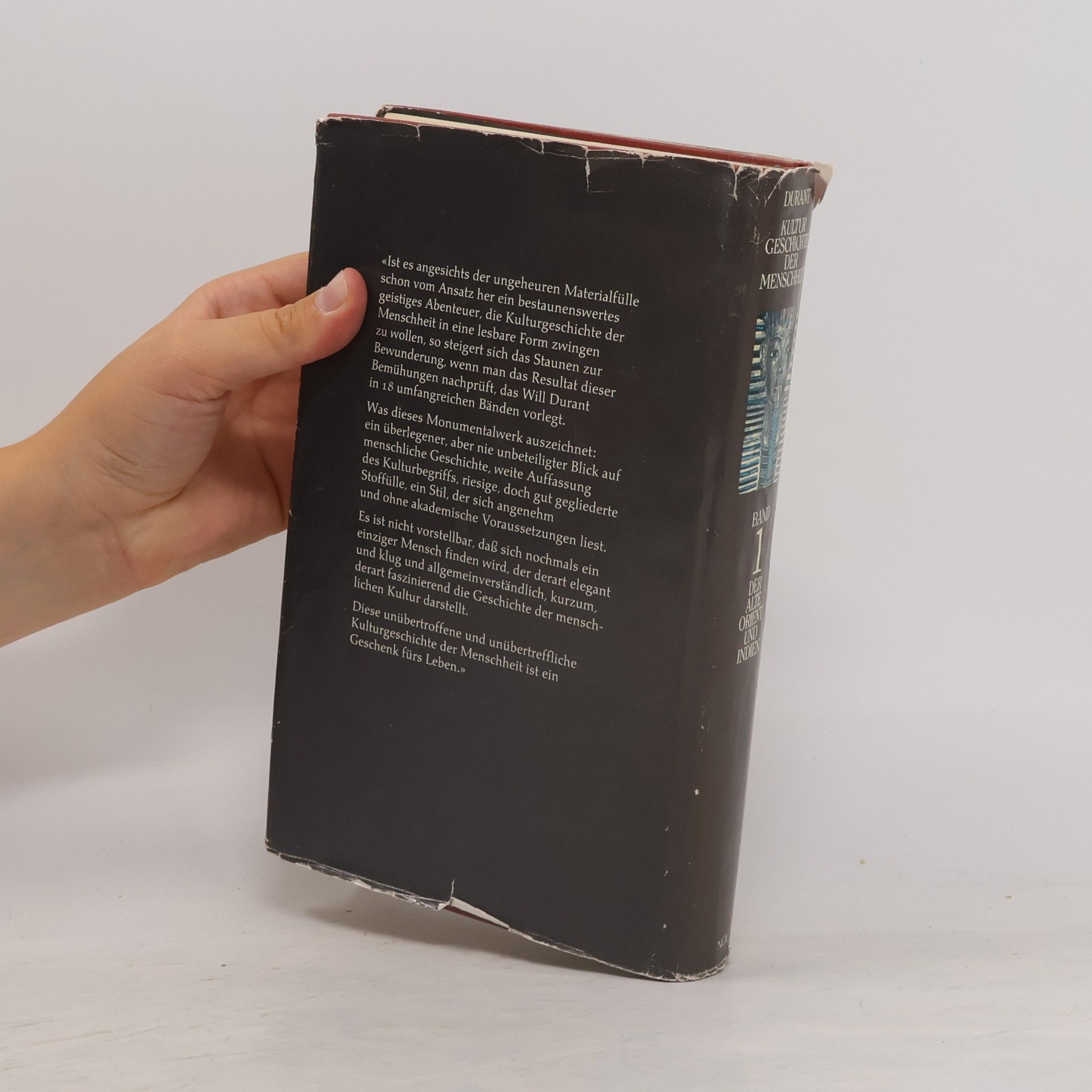 Autorenkollektiv Kulturgeschichte der Menschheit. Band 1. Der alte Orient und Indien