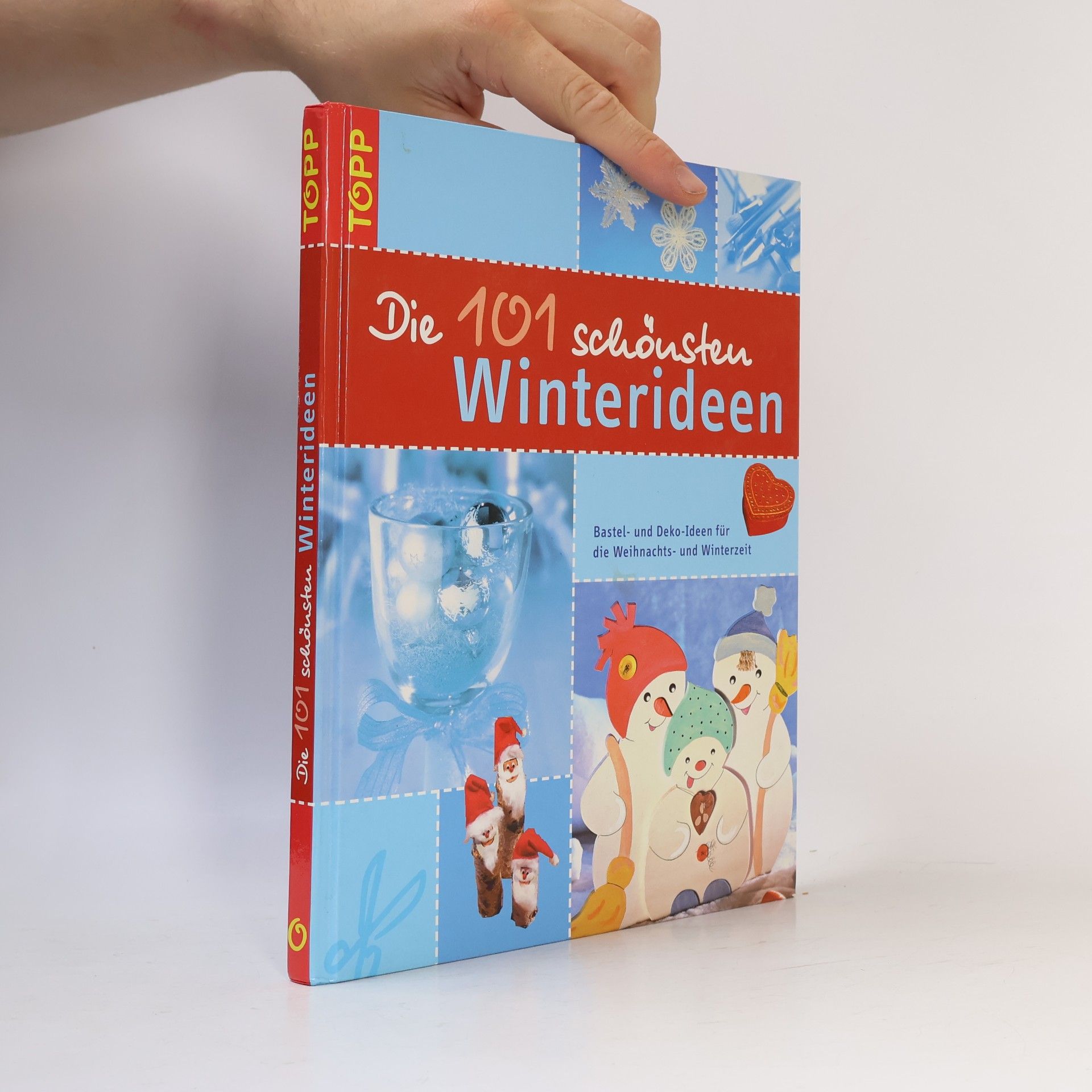 kolektiv Die 101 schönsten Winterideen