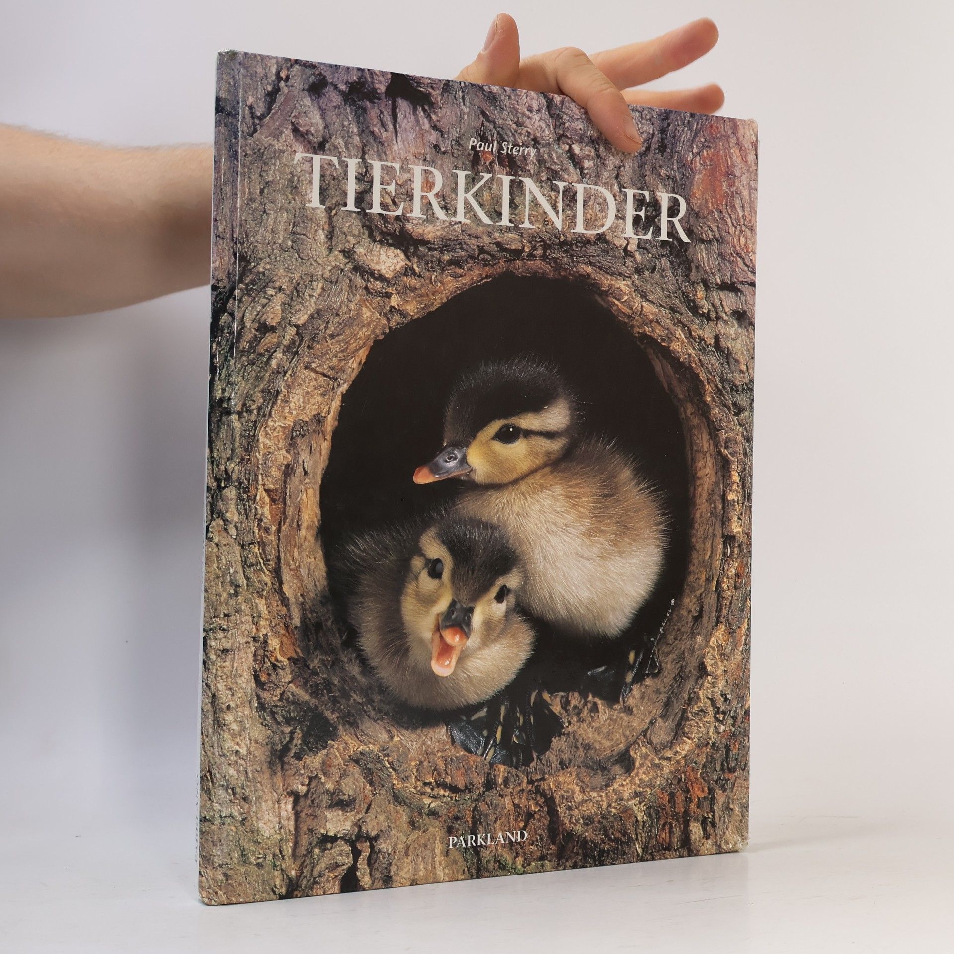 Paul Sterry Tierkinder