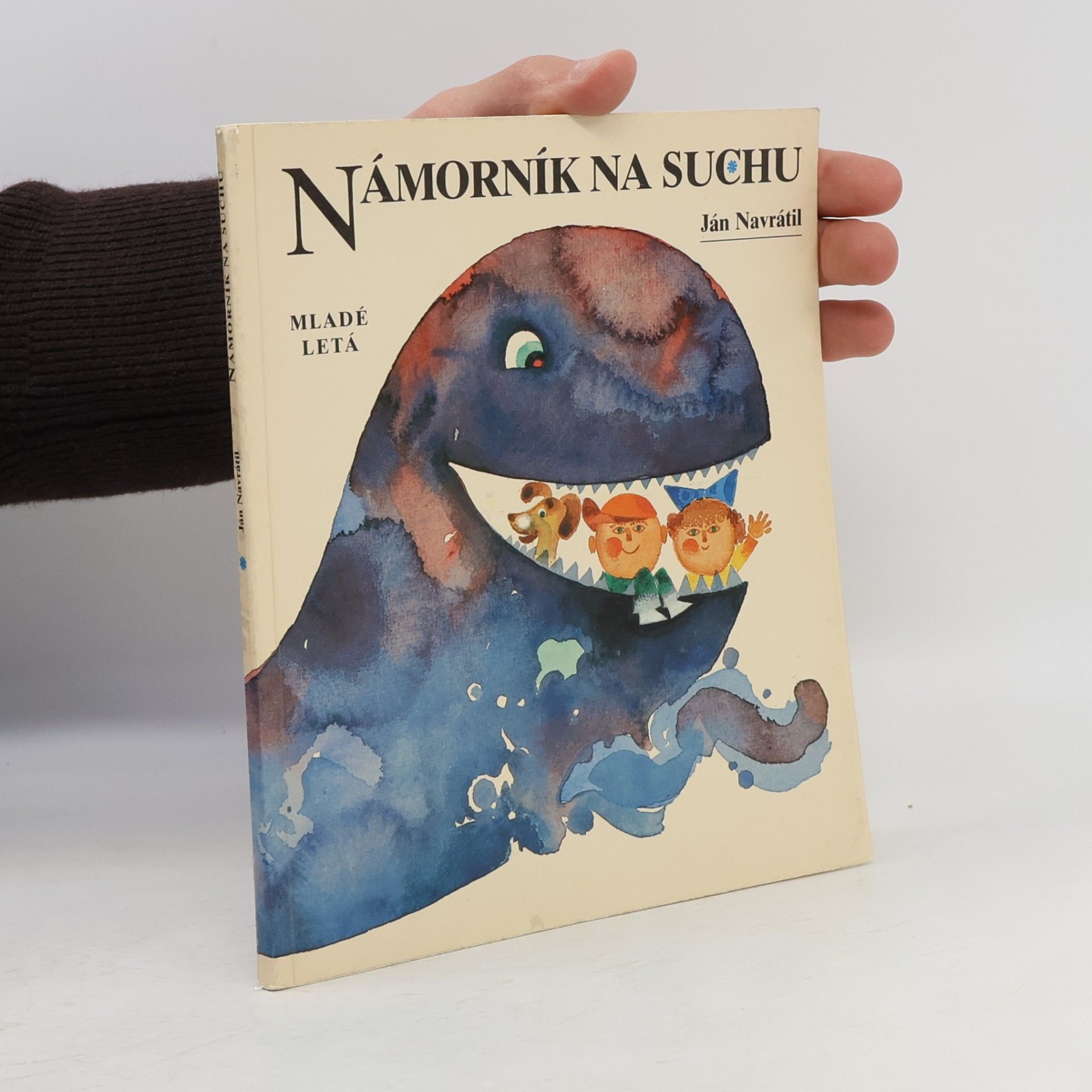 Ján Navrátil Námorník na suchu
