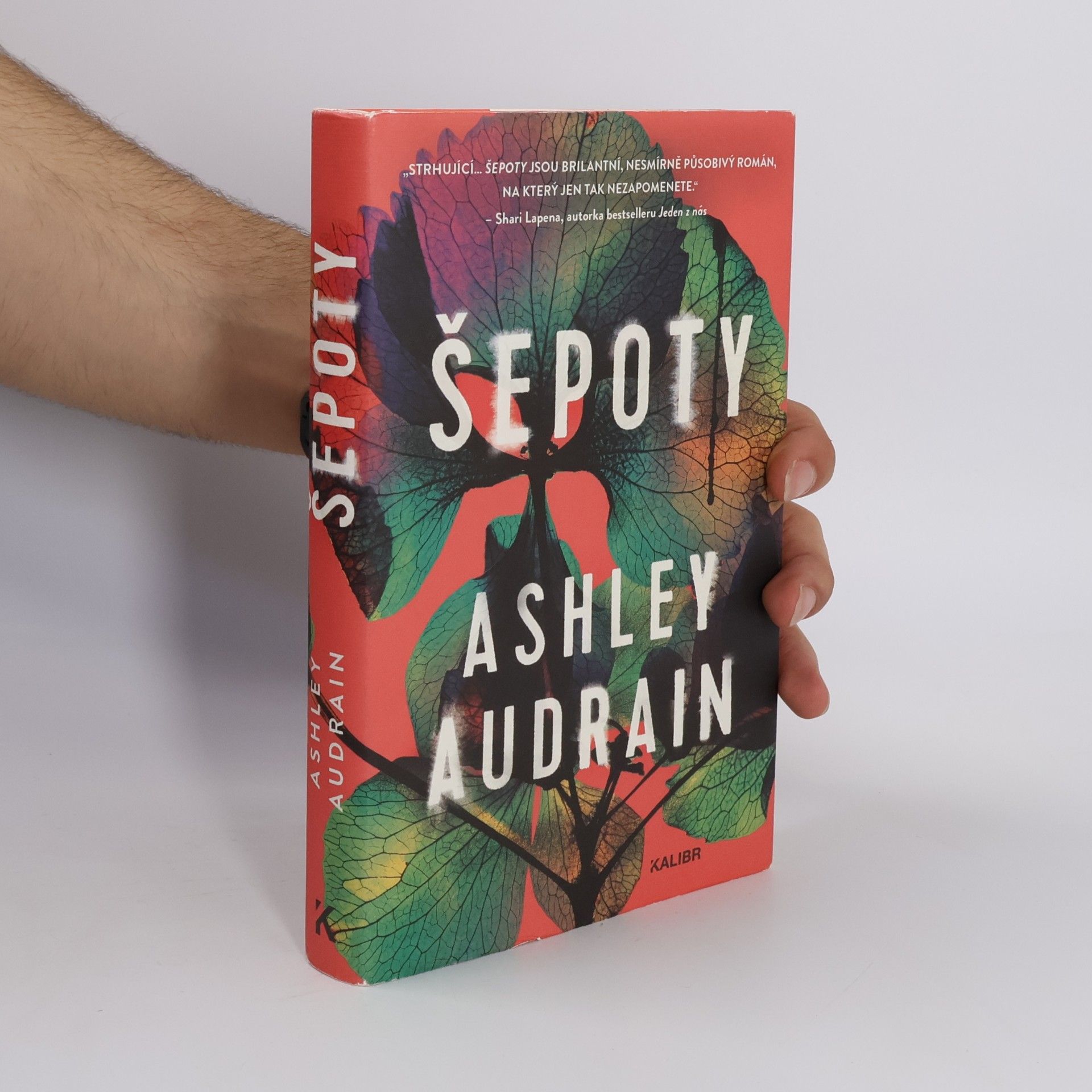Šepoty