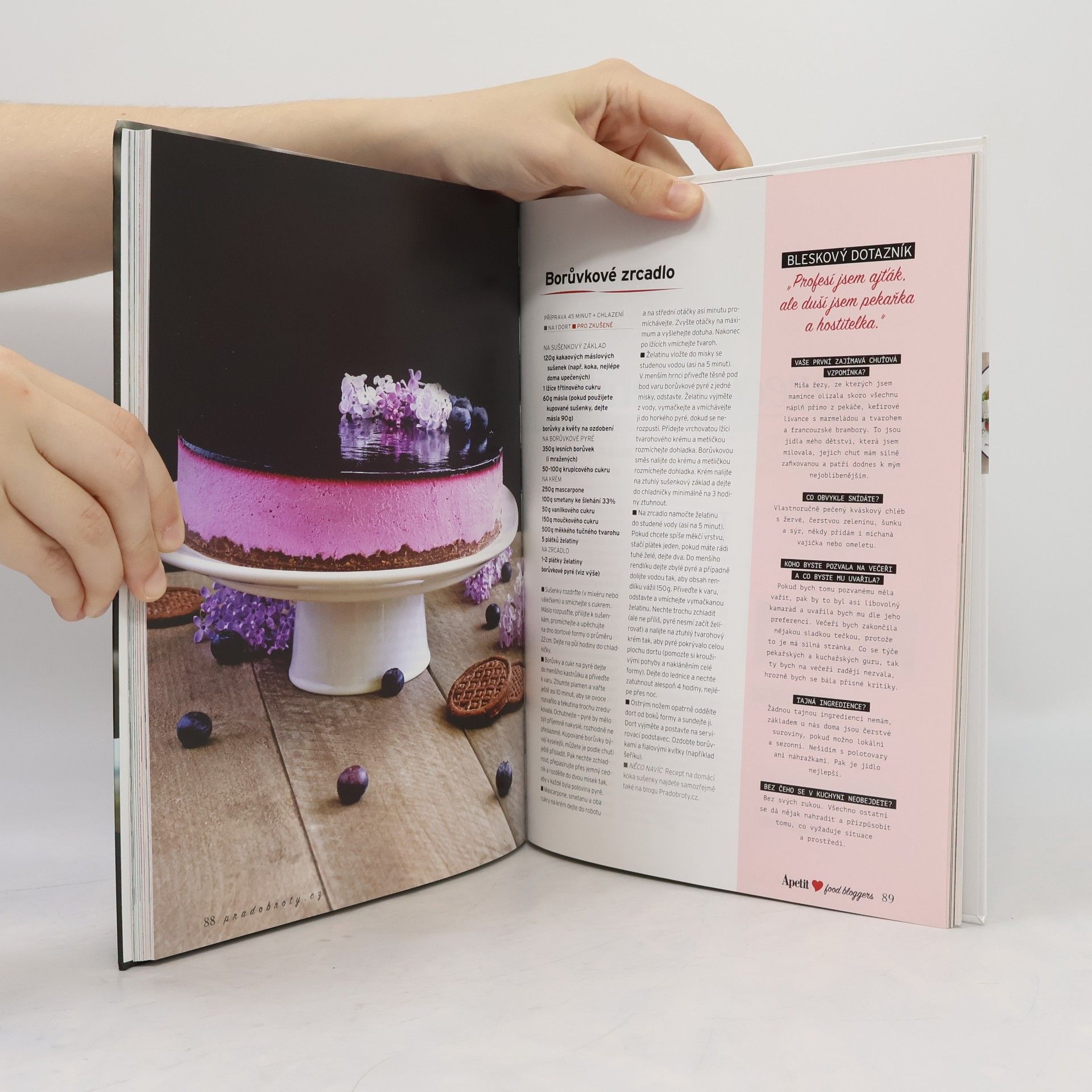 Autorenkollektiv To nejlepší od českých a slovenských food blogerů: Apetit food bloggers