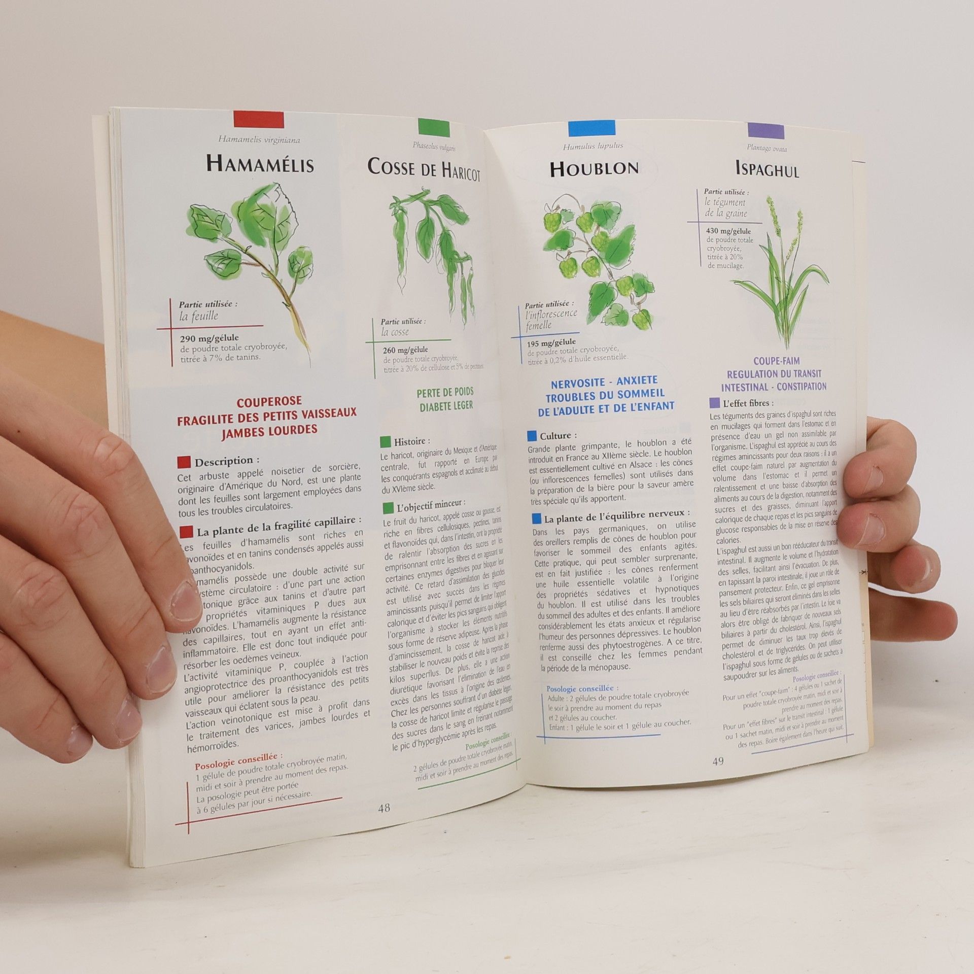 Kolektiv autorů L'ABC des plantes