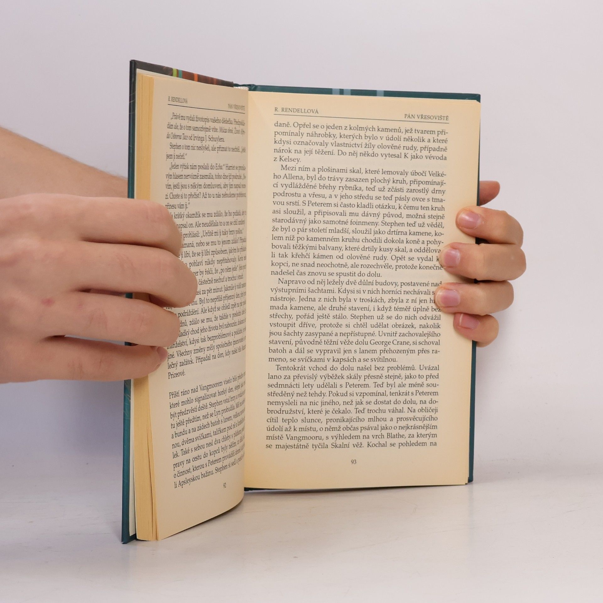 Ruth Rendell Pán vřesoviště