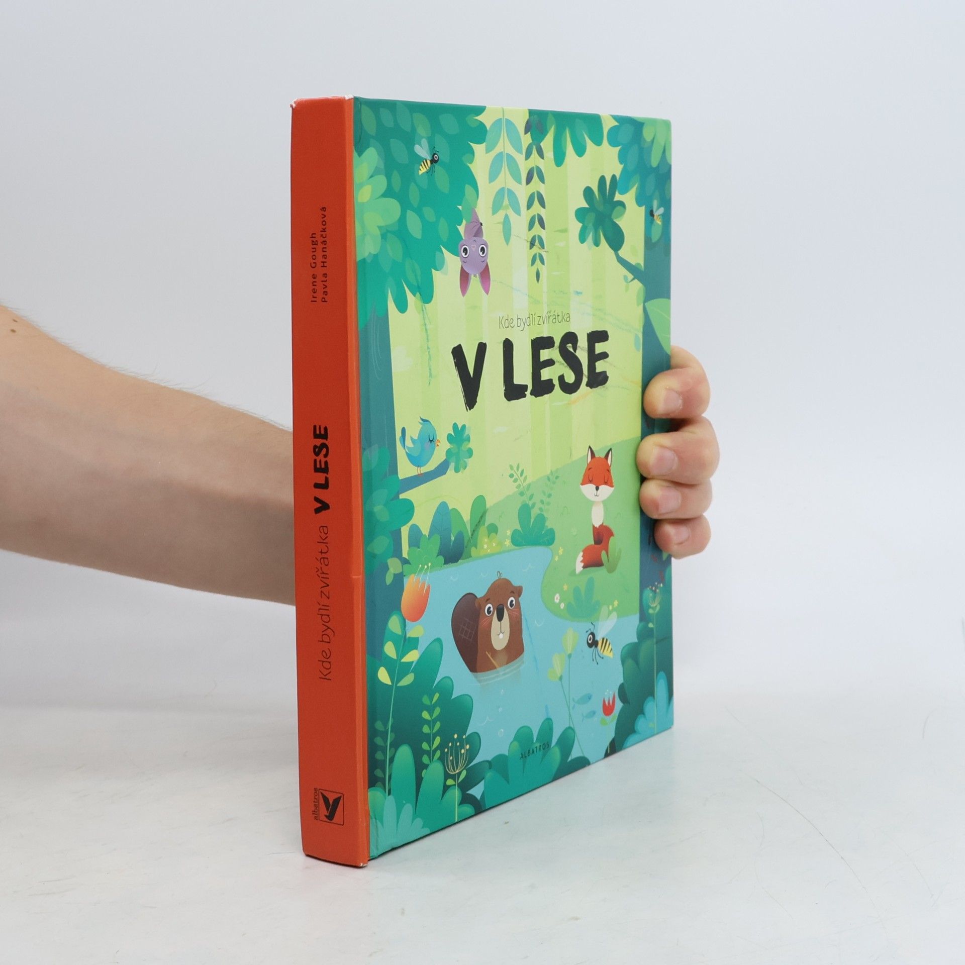 Irene Gough V lese : Kde bydlí zvířátka