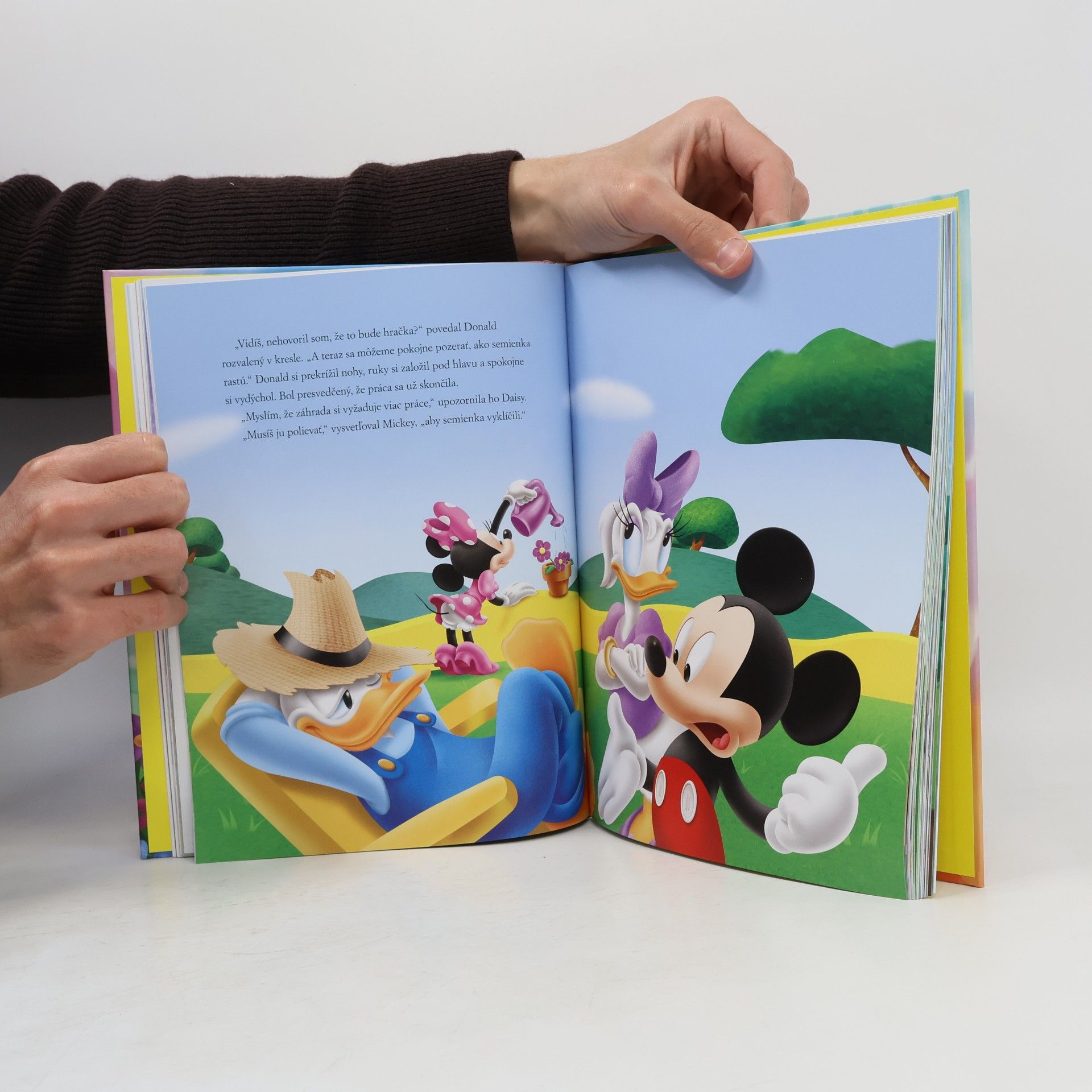 Kolektiv autorů Mickeyho 5-minútové príbehy