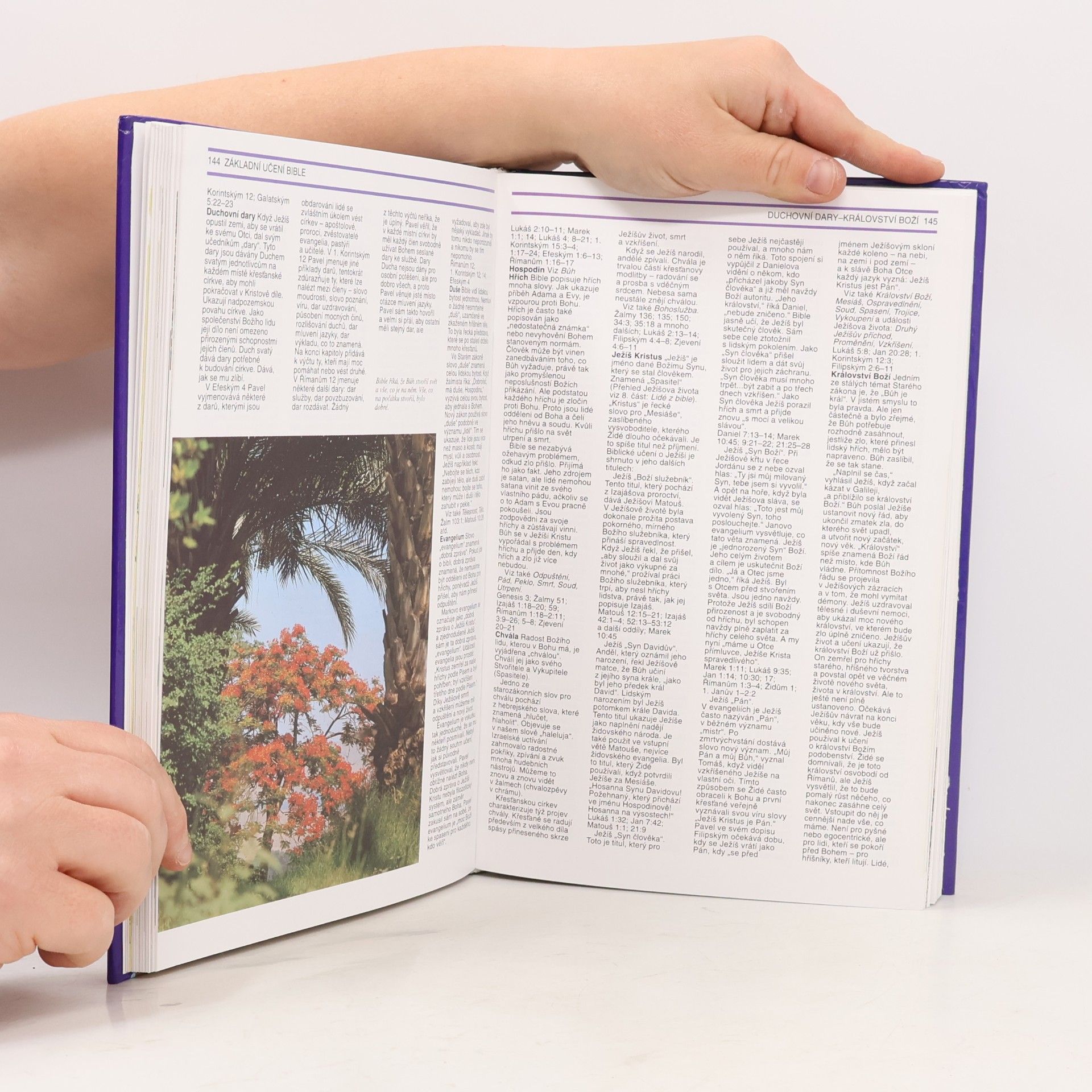 Jiří Síbrt Encyklopedie bible