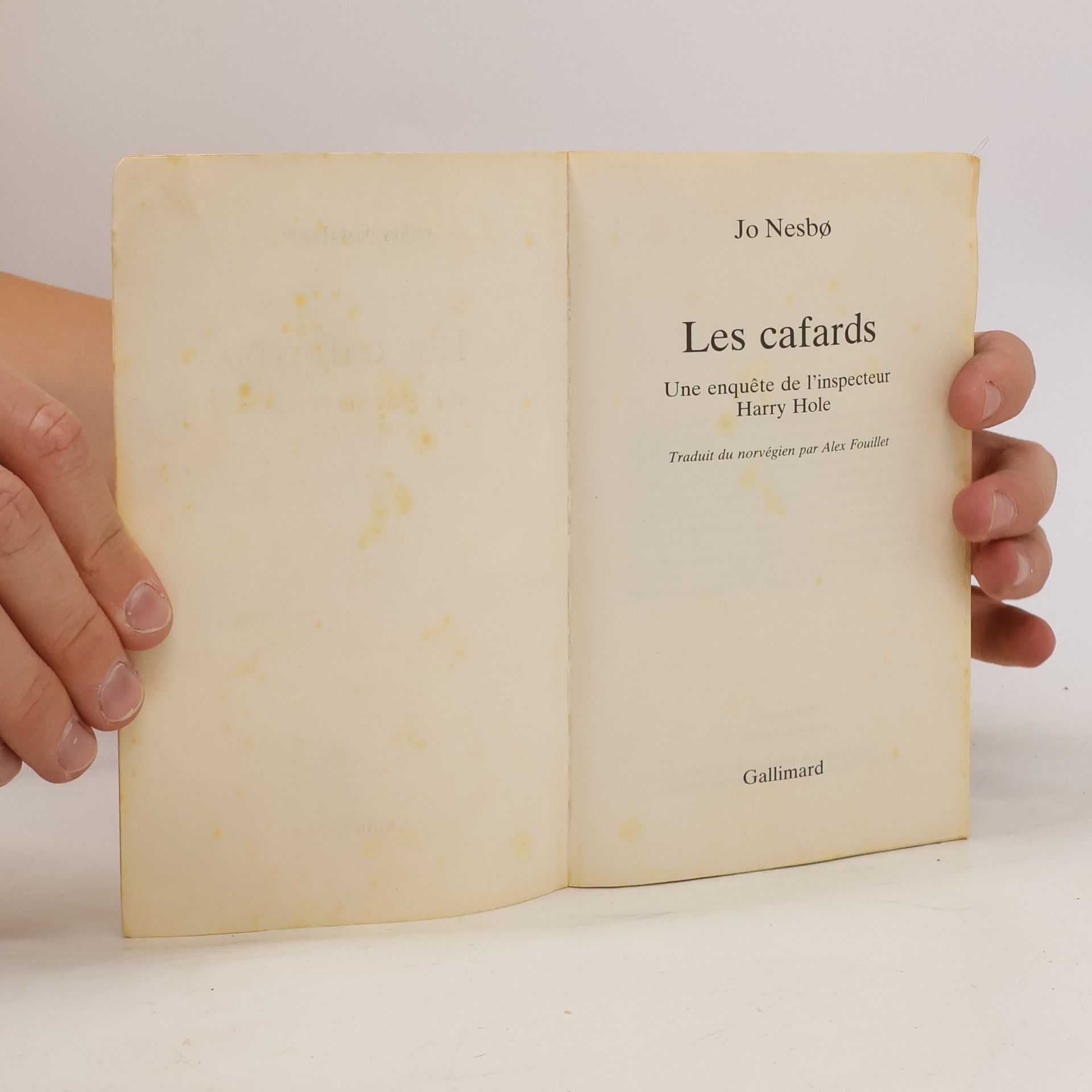 Jo Nesbø Les Cafards