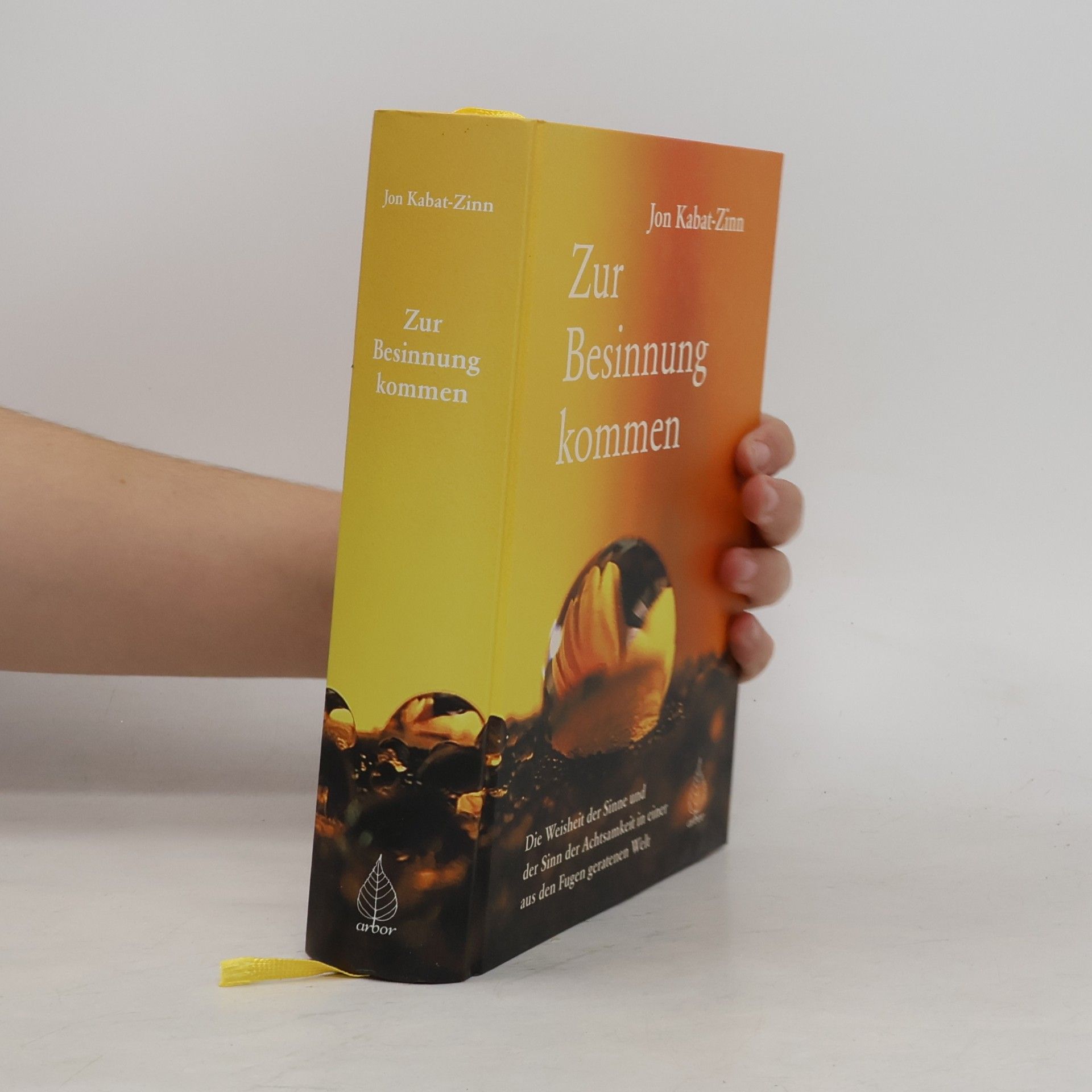 Jon Kabat-Zinn Zur Besinnung kommen