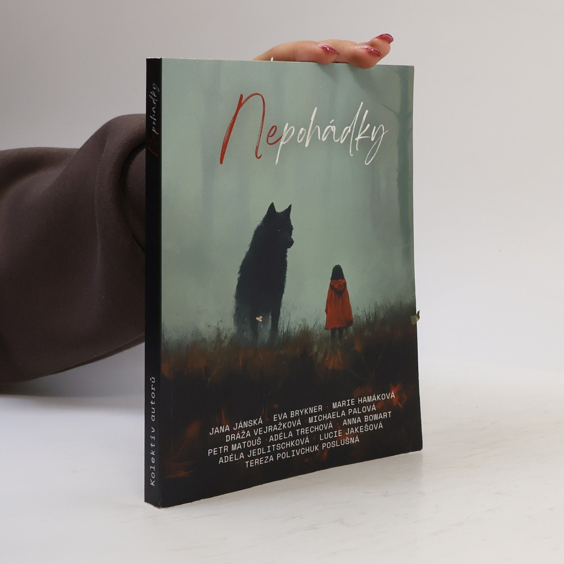 Kolektiv autorů Nepohádky