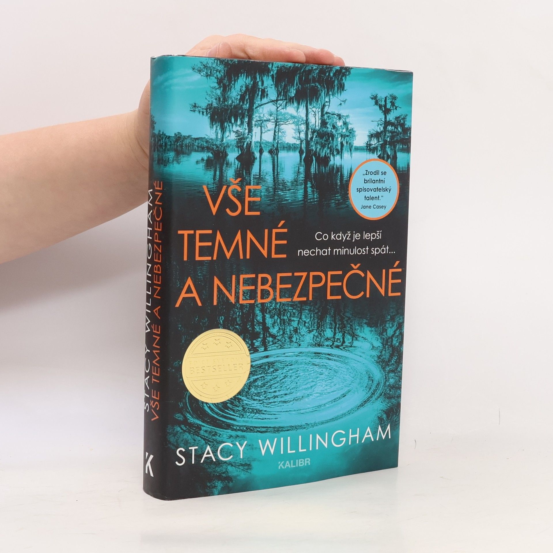 Stacy Willingham Vše temné a nebezpečné