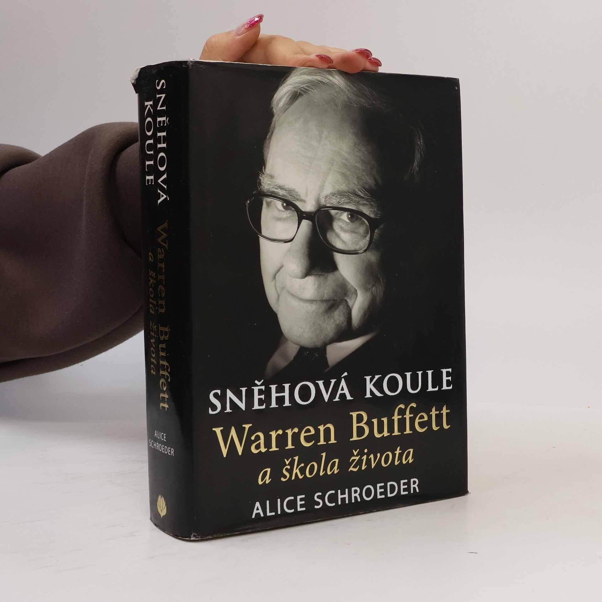 Sněhová koule, Warren Buffett a škola života