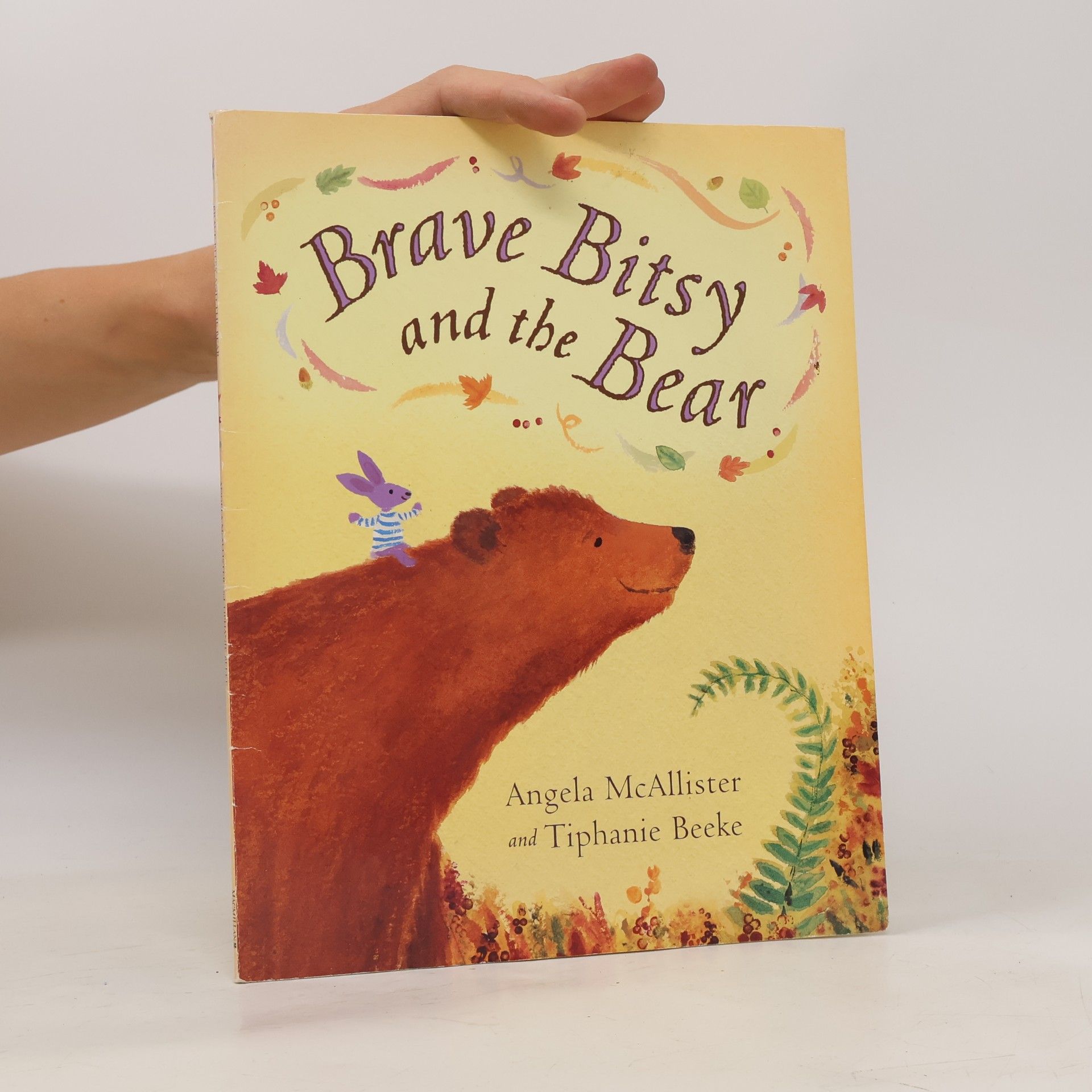 Tiphanie Beeke Brave Bitsy and the Bear