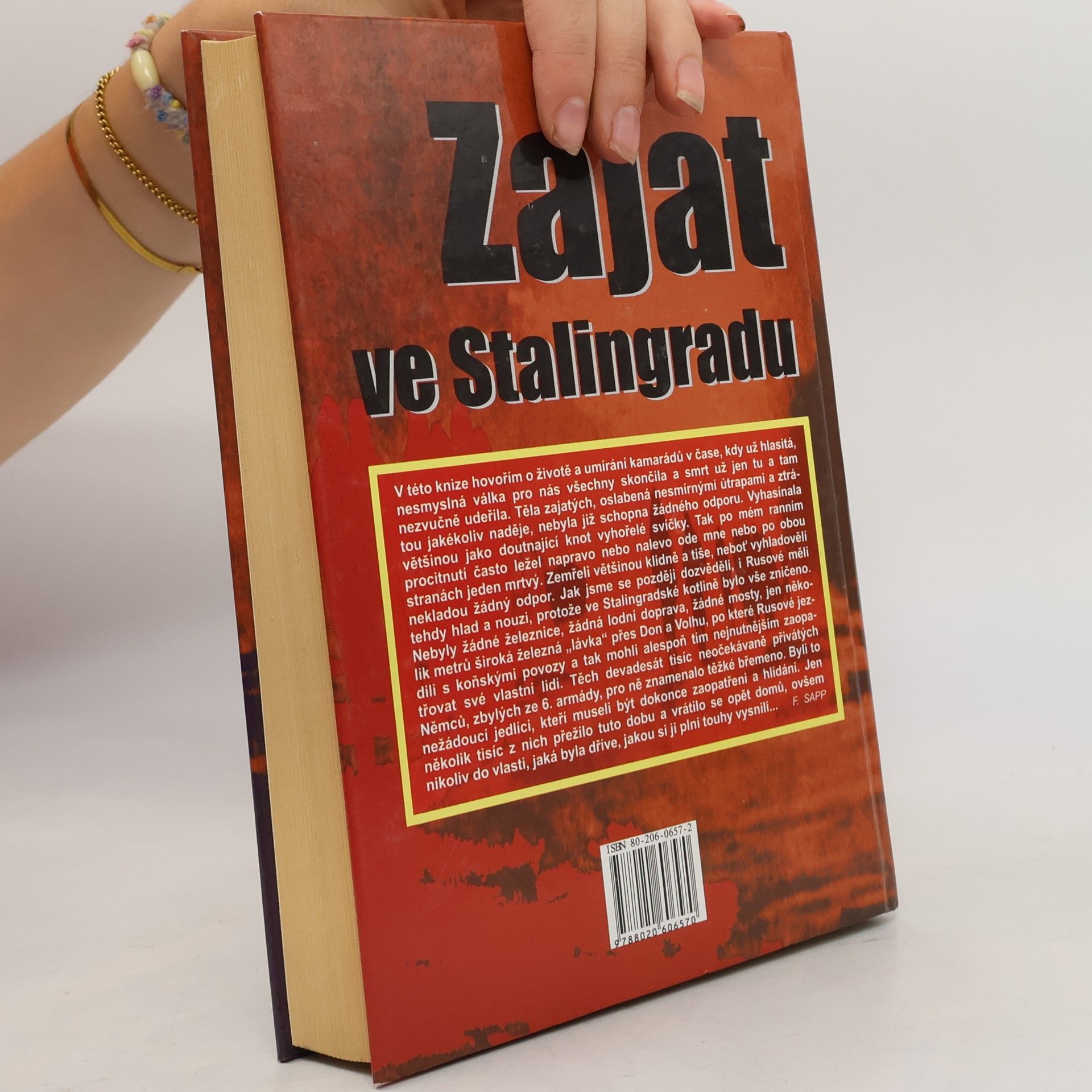 Franz Sapp Zajat ve Stalingradu. Dramatický osud německého vojáka 1943-1946