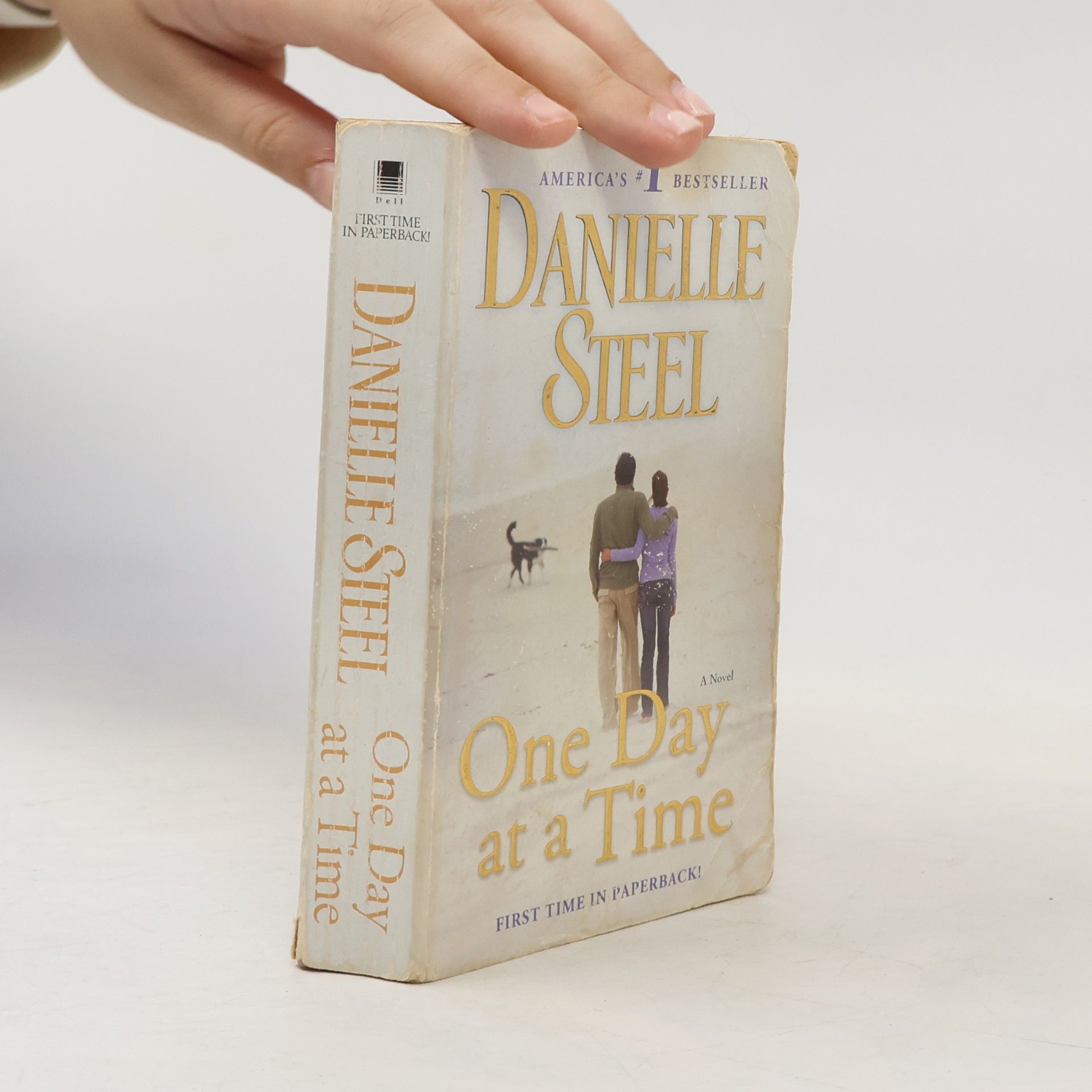 Danielle Steel One Day at a Time