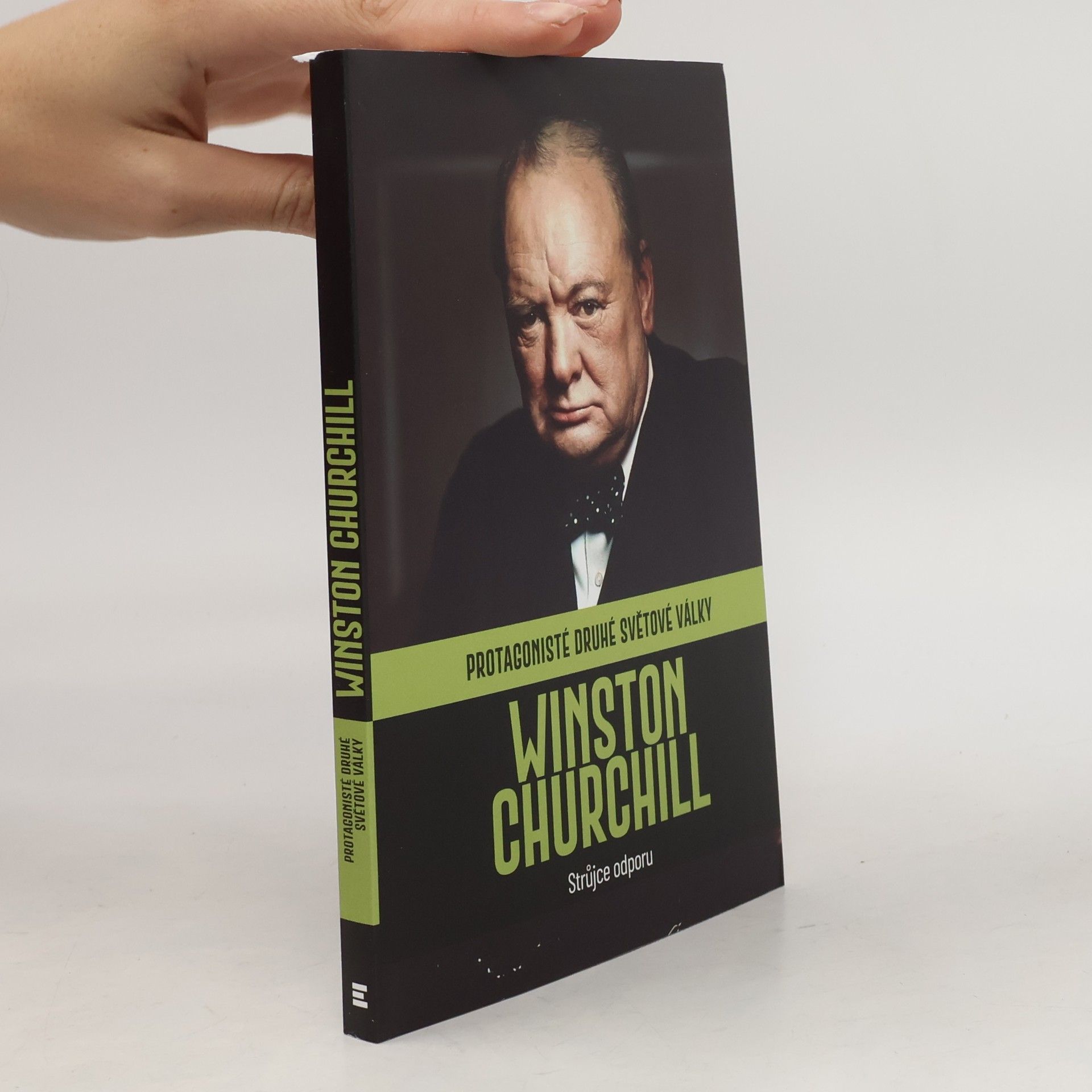 Kolektiv autorů Winston Churchill. Strůjce odporu