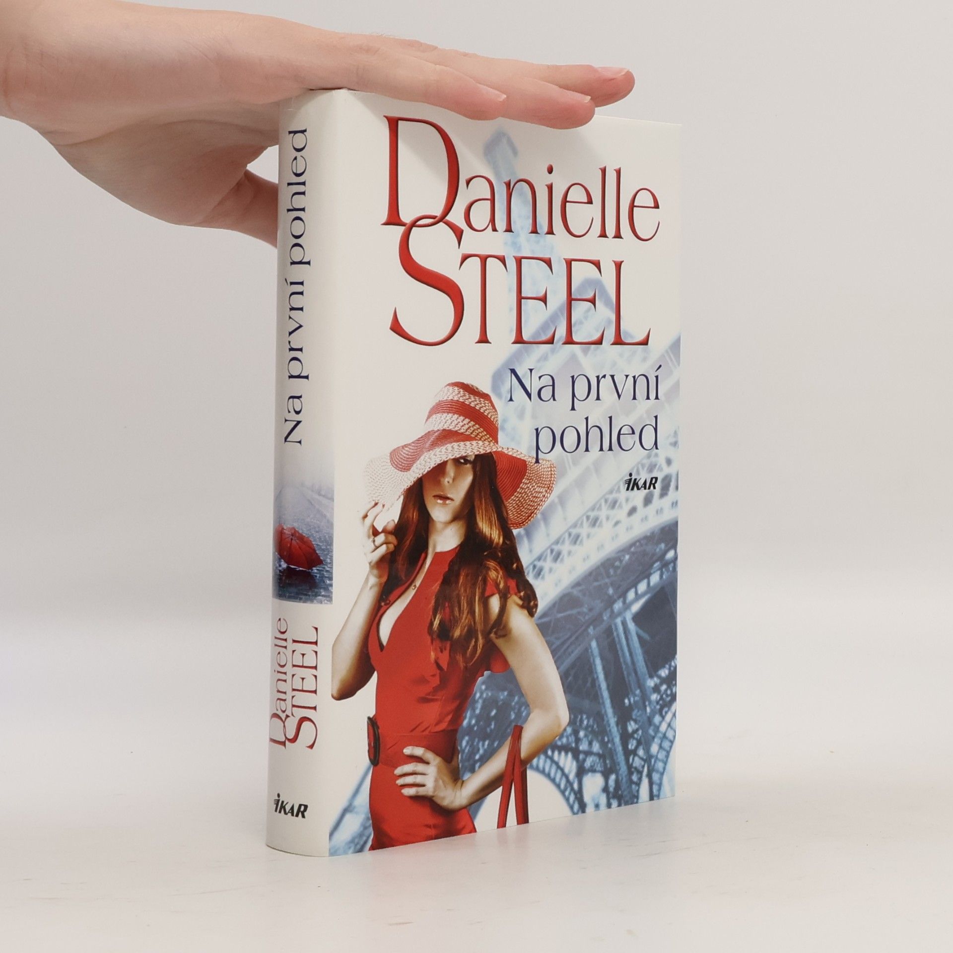 Danielle Steel Na první pohled