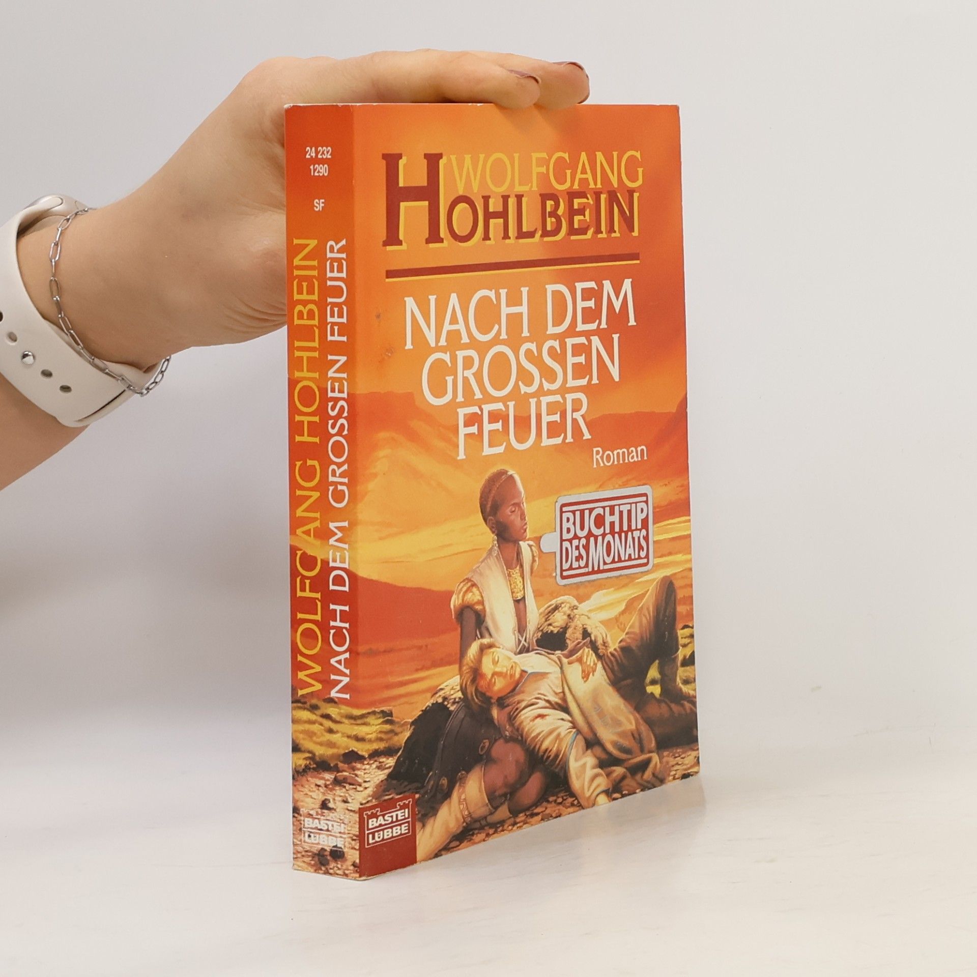 Wolfgang Hohlbein Nach dem grossen Feuer