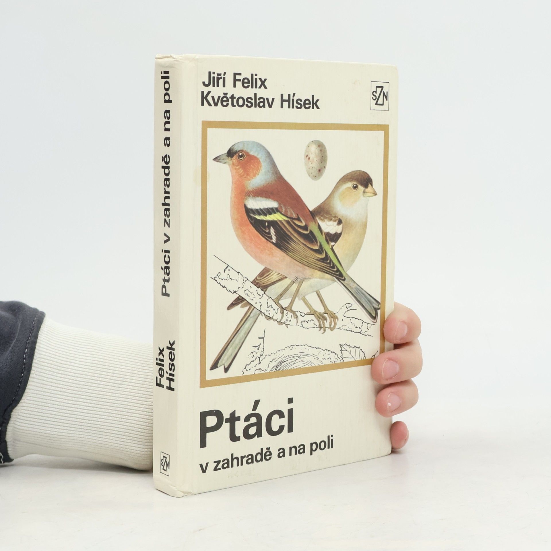 Květoslav Hísek Ptáci v zahradě a na poli