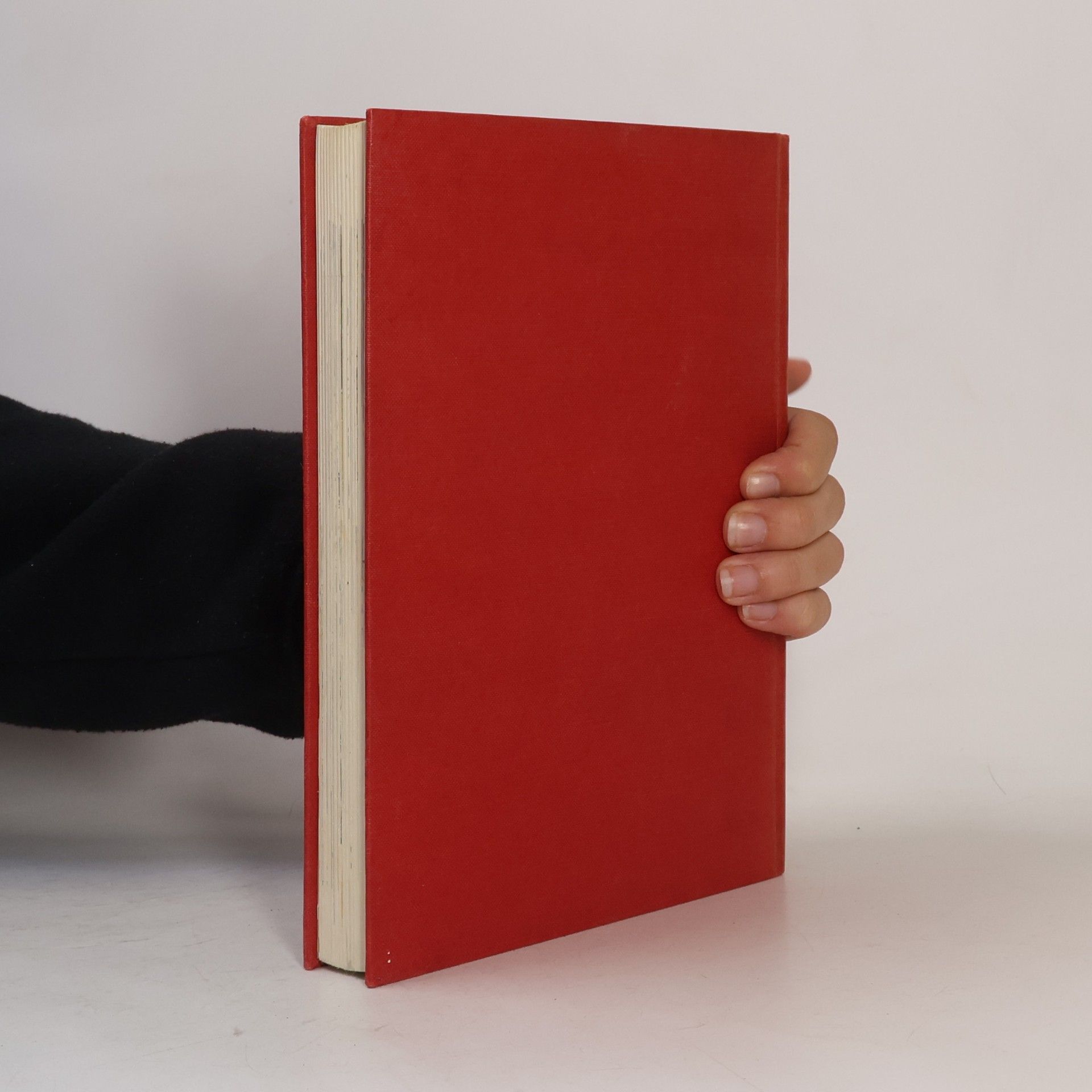 Anne de Vries Die Bibel unserer Kinder