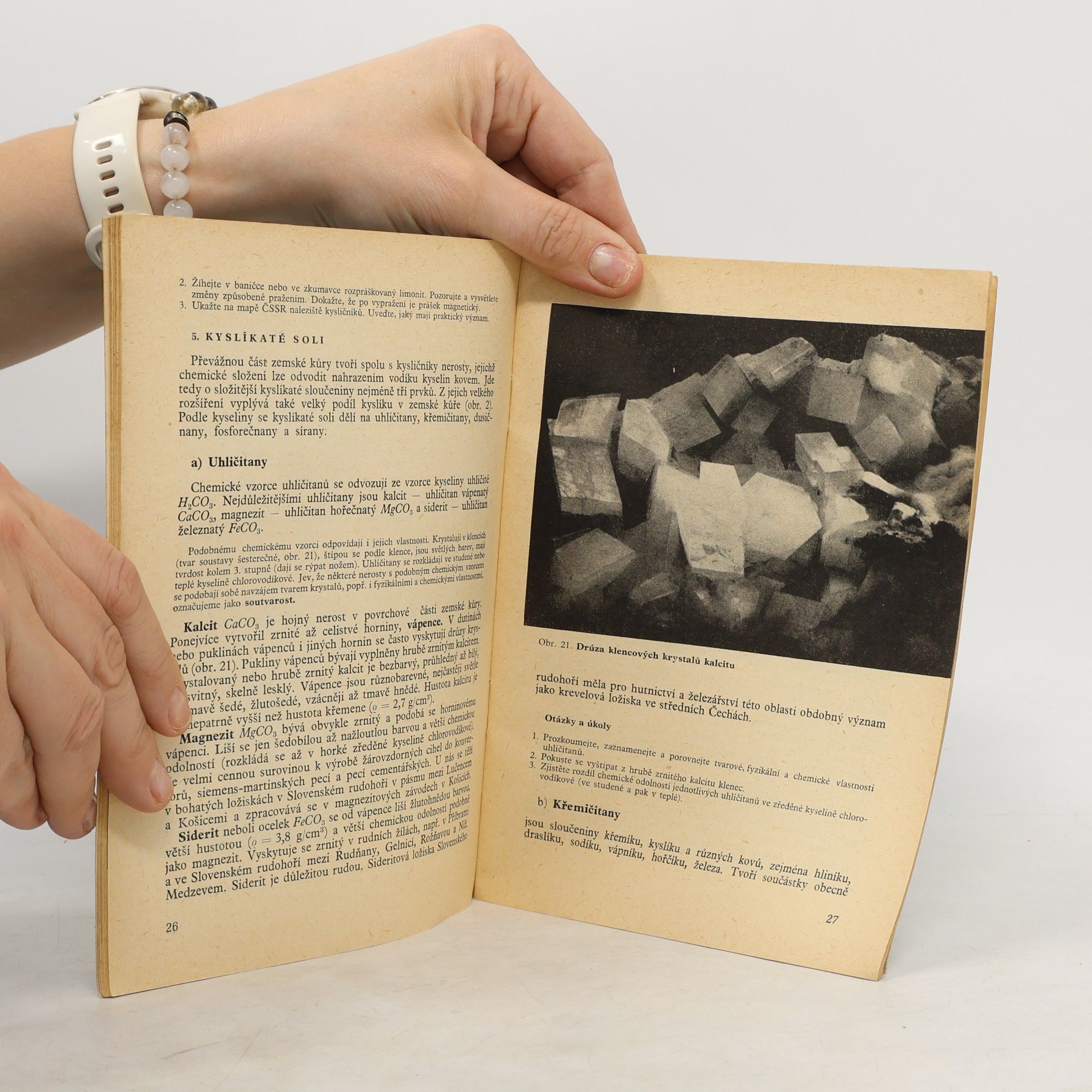 František Pauk Mineralogie, Petrografie, Geologie