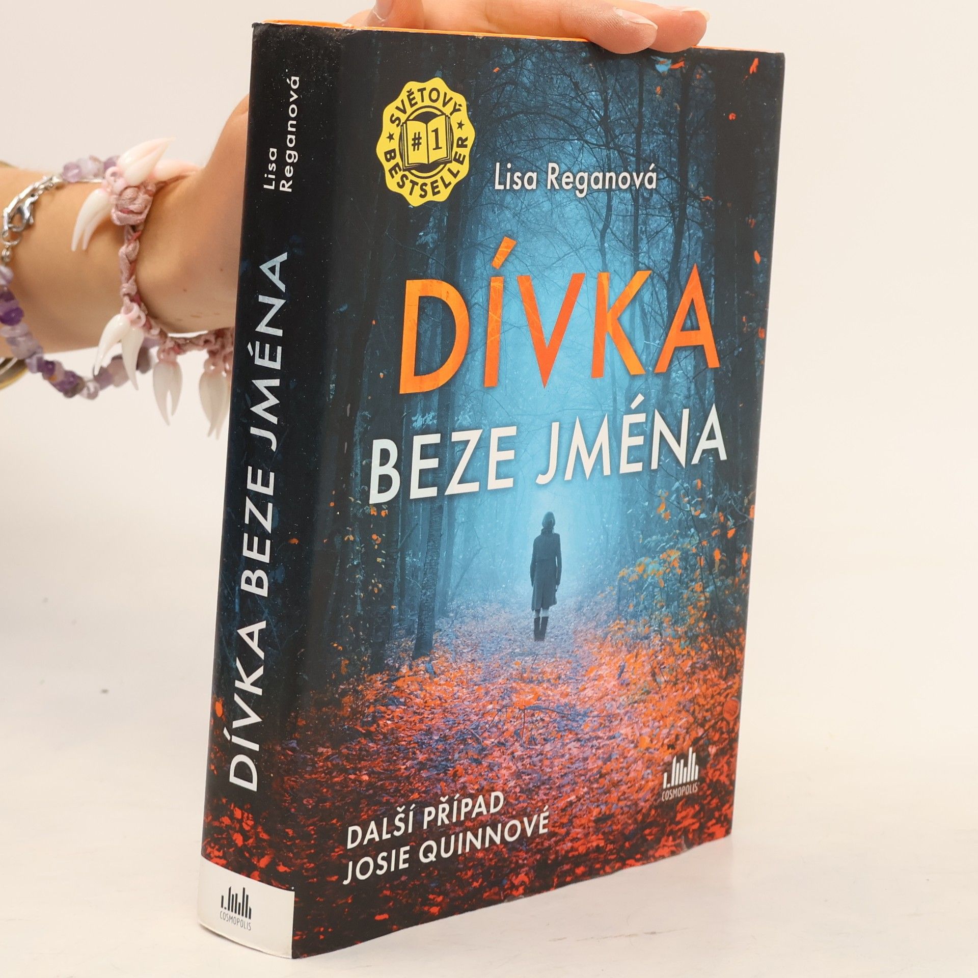 Lisa Regan Dívka beze jména: Další případ Josie Quinnové